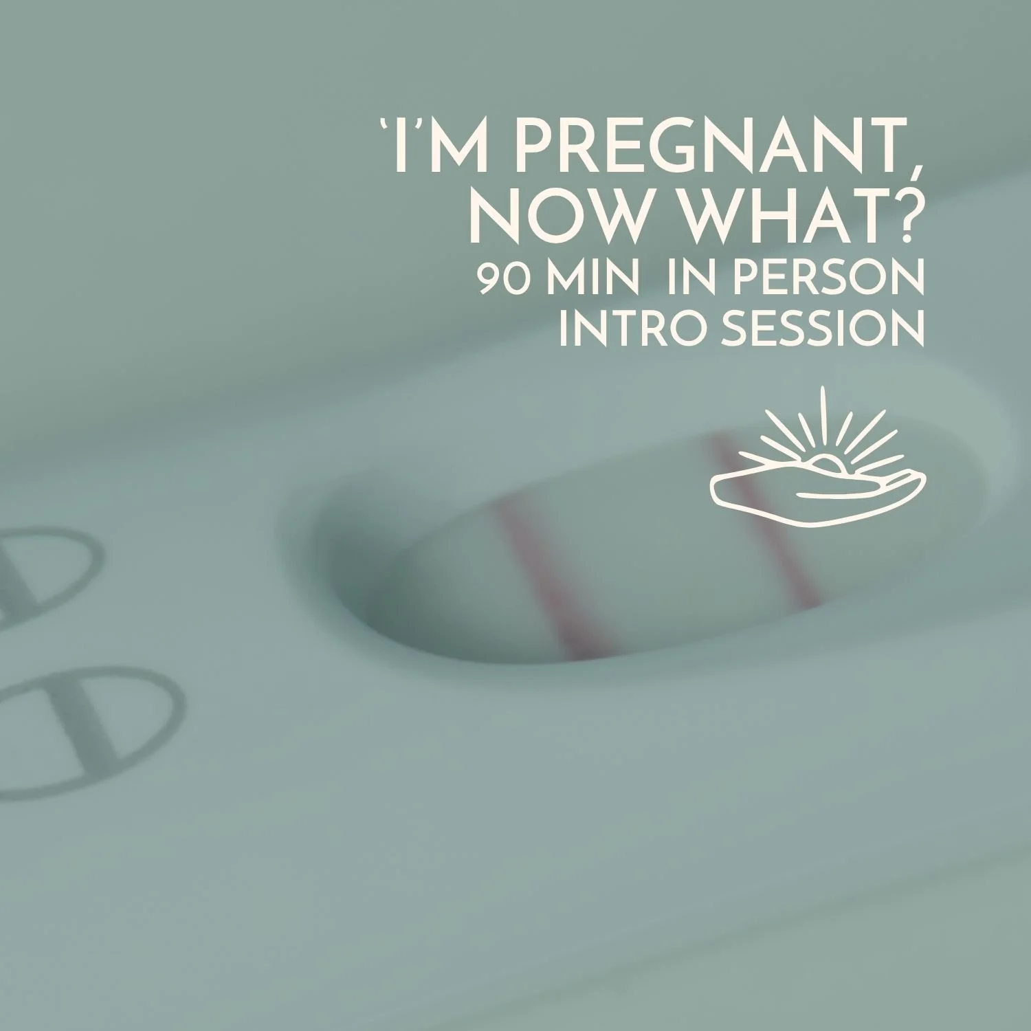 Copy of Postpartum Prep Workshop Promo (A4 (Landscape)) (7).jpg