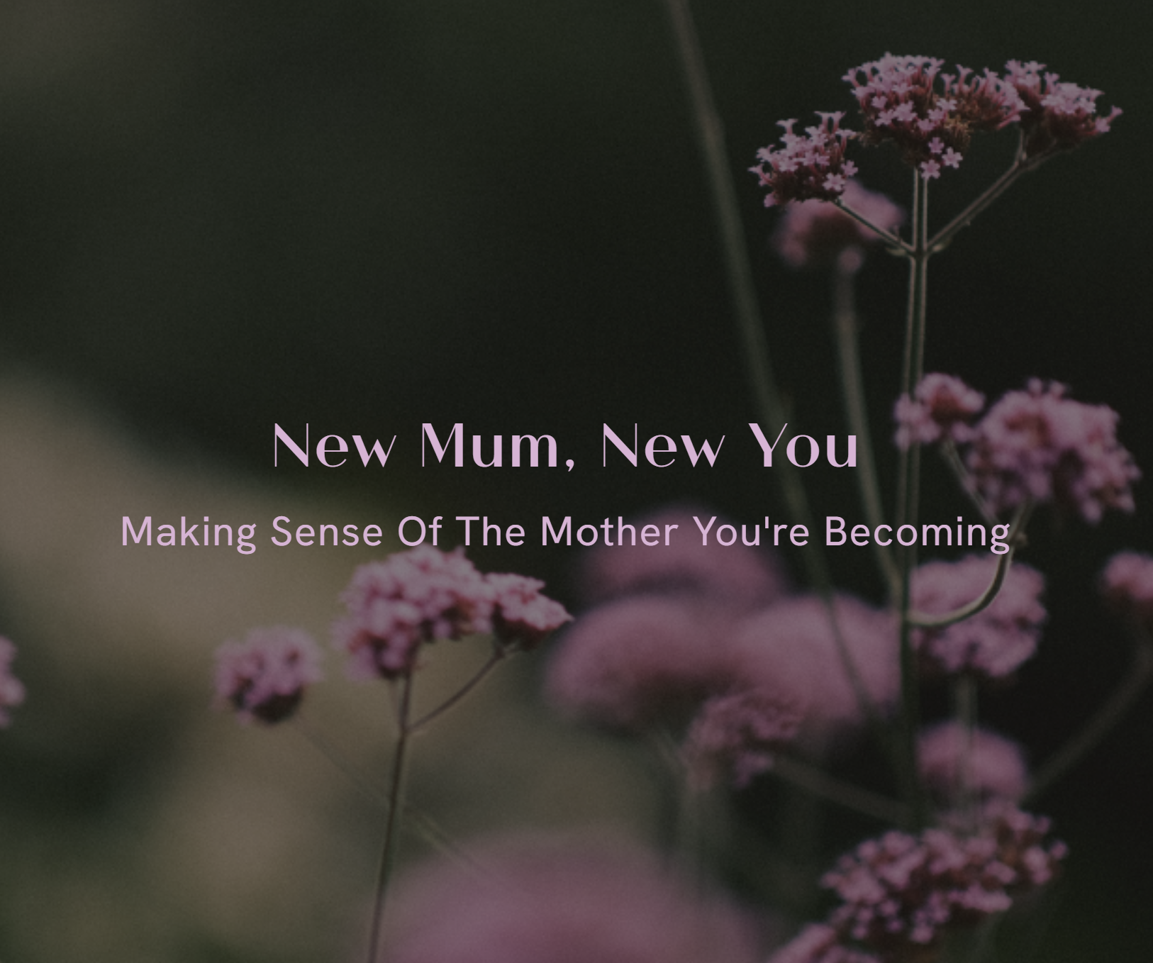 NEW MUM, NEW YOU ⋆.˚ ☼ A Free 11 minute video training to support you through the uncertainty of early motherhood and feel steadier and more grounded in this season. By Ali Heppell
