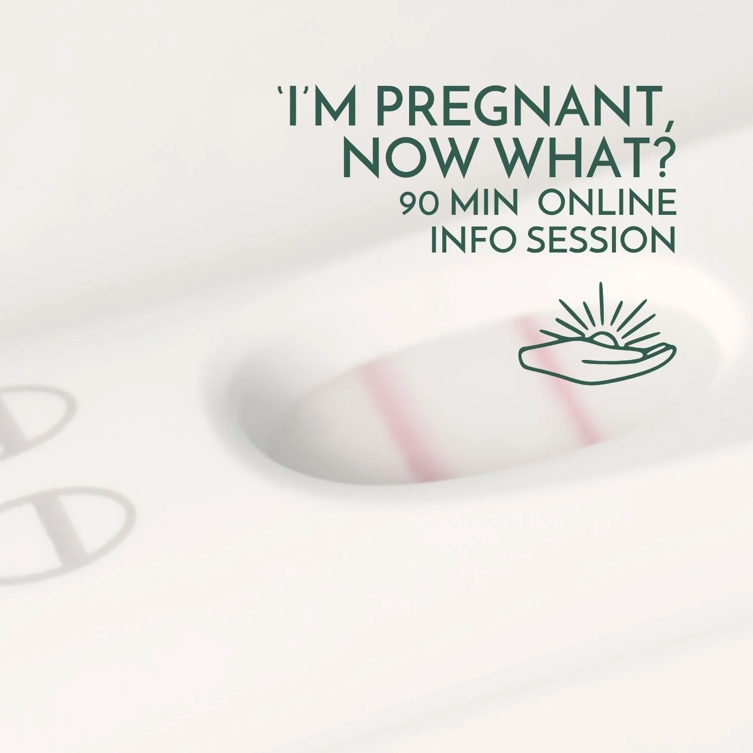 'I'm pregnant, now what?', a 90-min online intro session