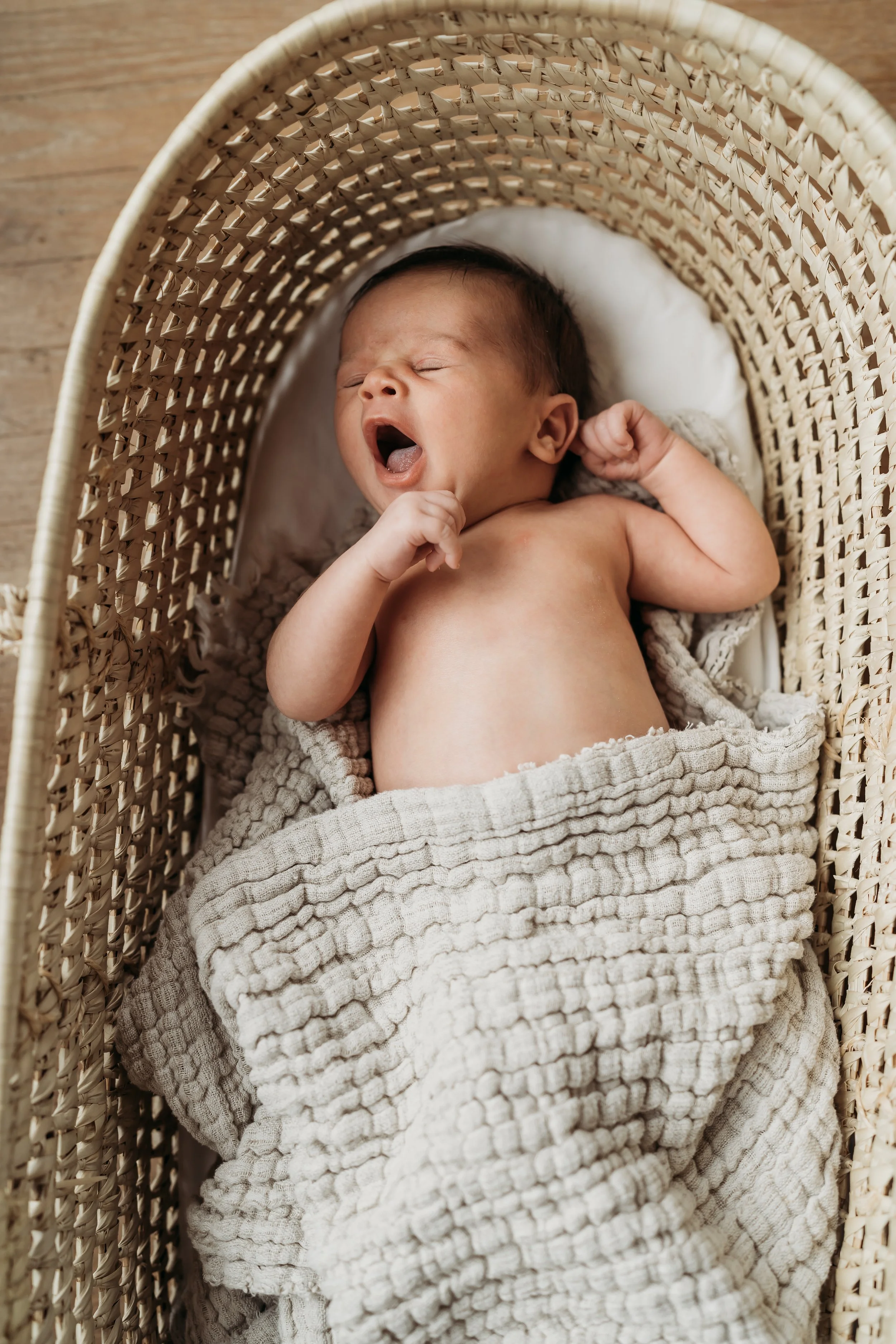 230829_WagemansNewborn-24.jpg