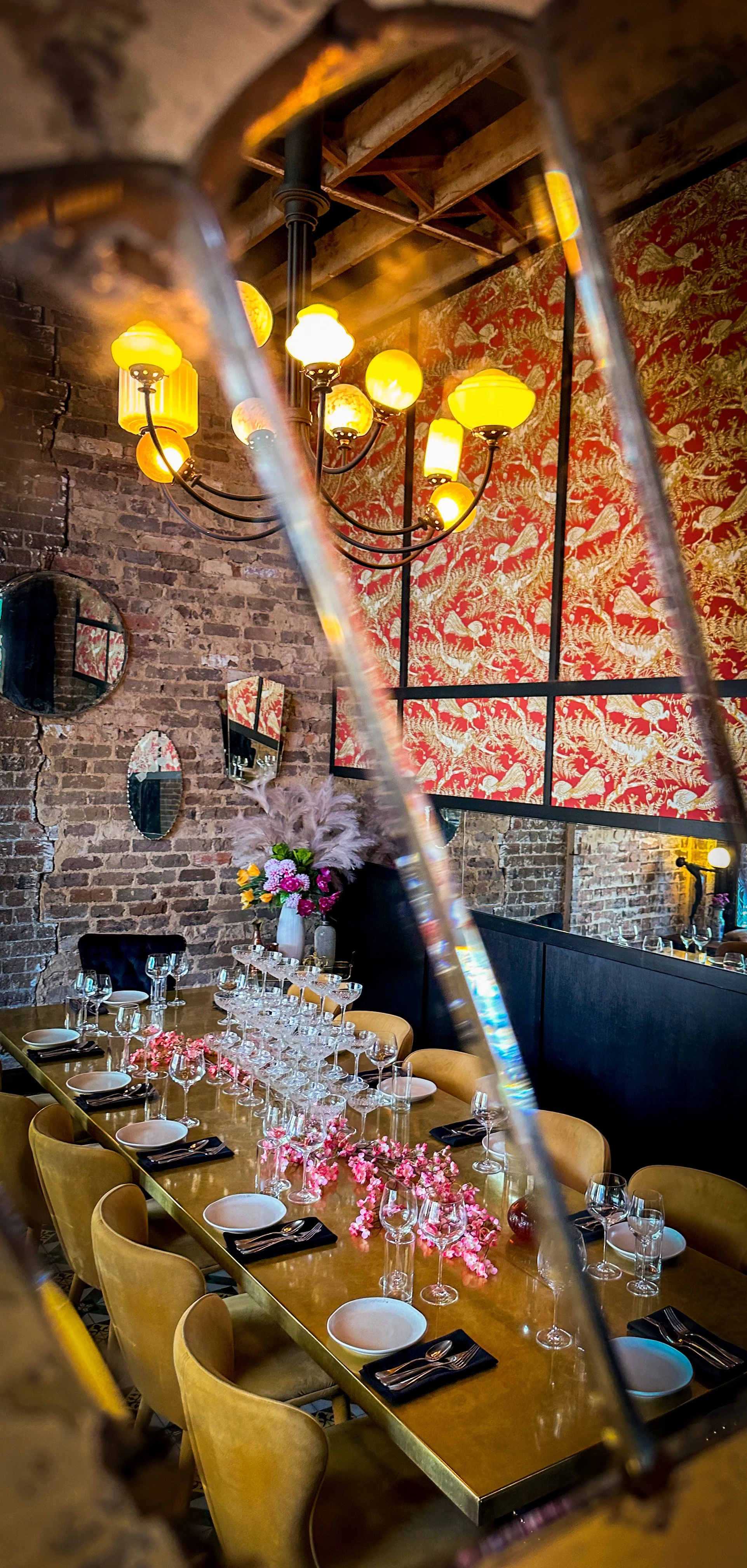 Steph Image PDR 3.JPEG