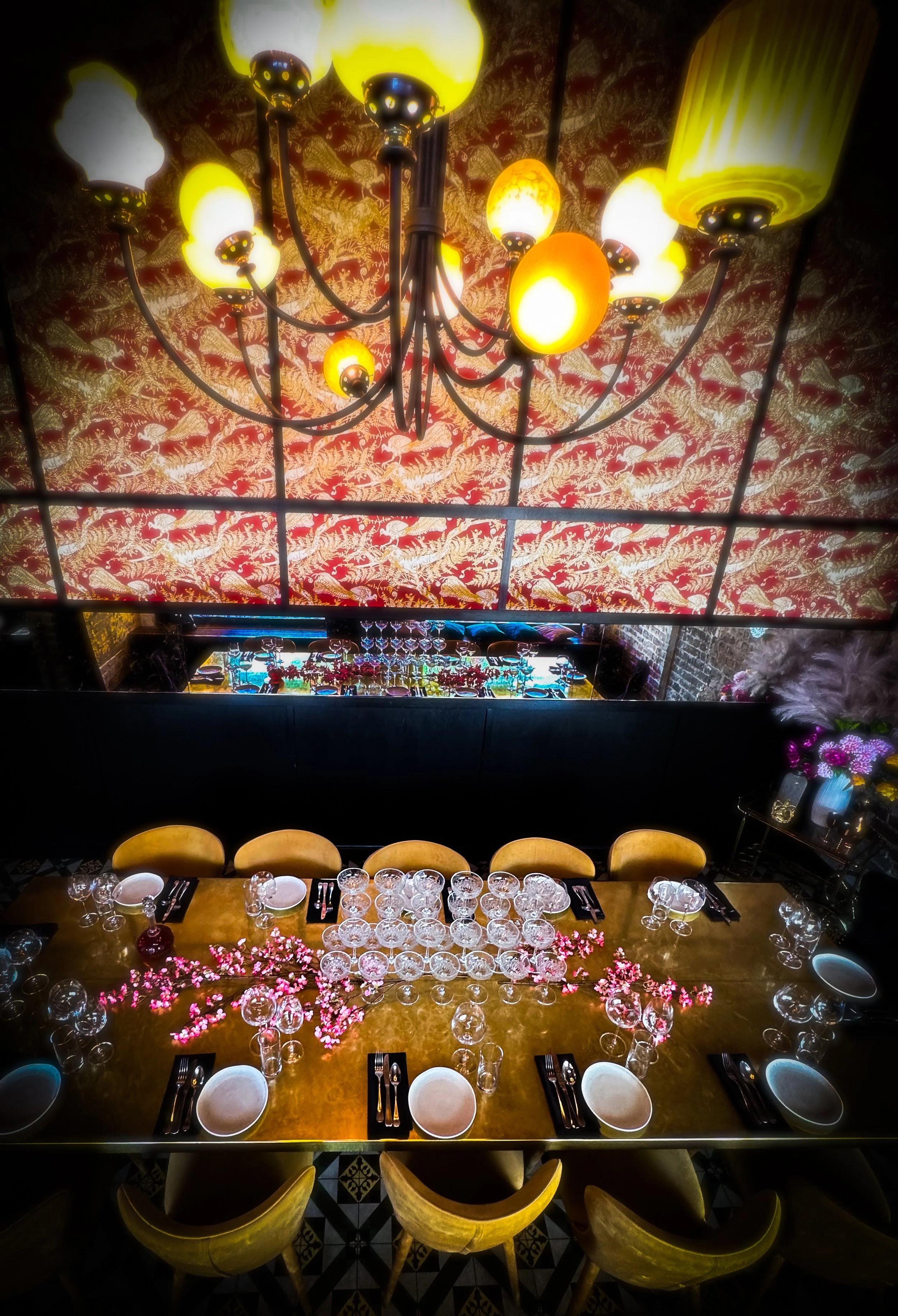 Steph Image PDR 4.JPEG