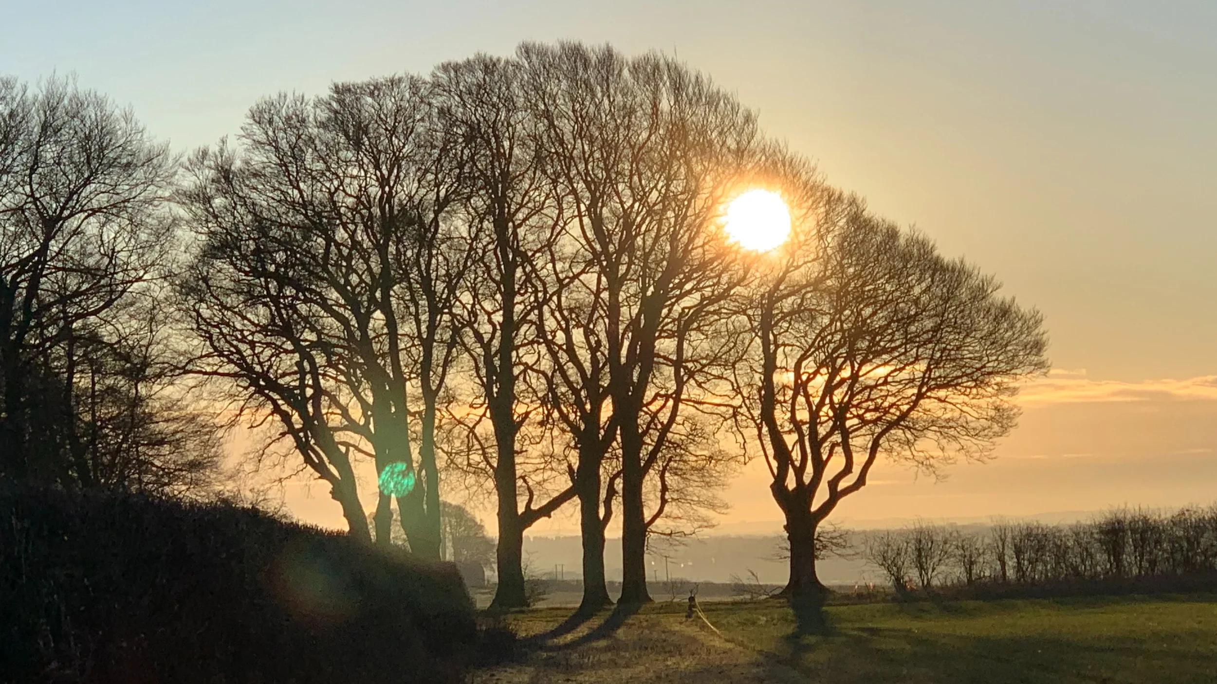 Nature Therapy Immersion (private booking)