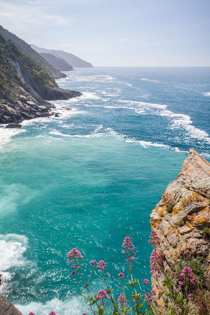 View from Vernazza in Cinque Terre.jpg