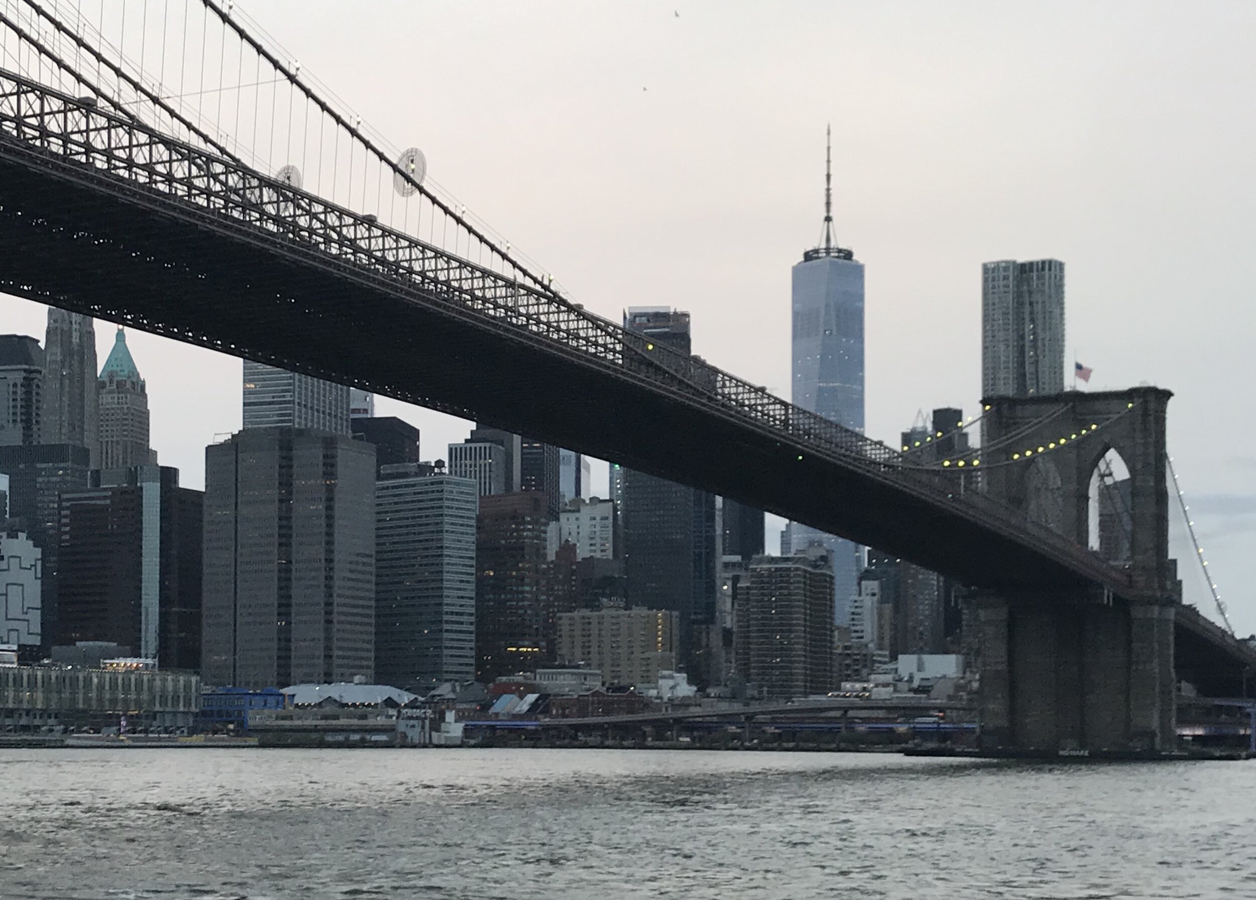 09DB7352-264D-462F-A5DC-645247D2E57A_1_201_a.jpeg