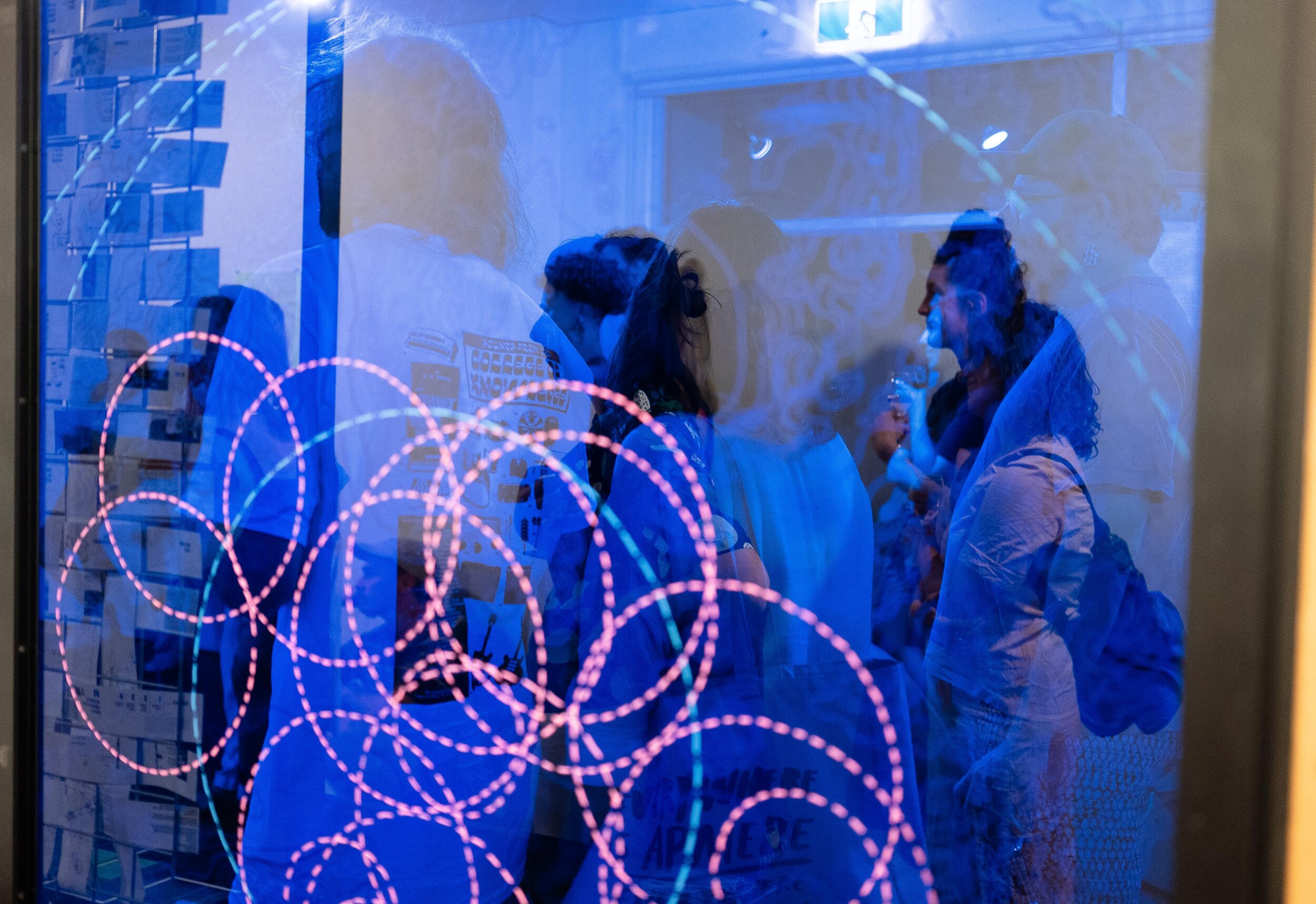 Katy Moir - Hypothetical Darwin Installation 2020.
