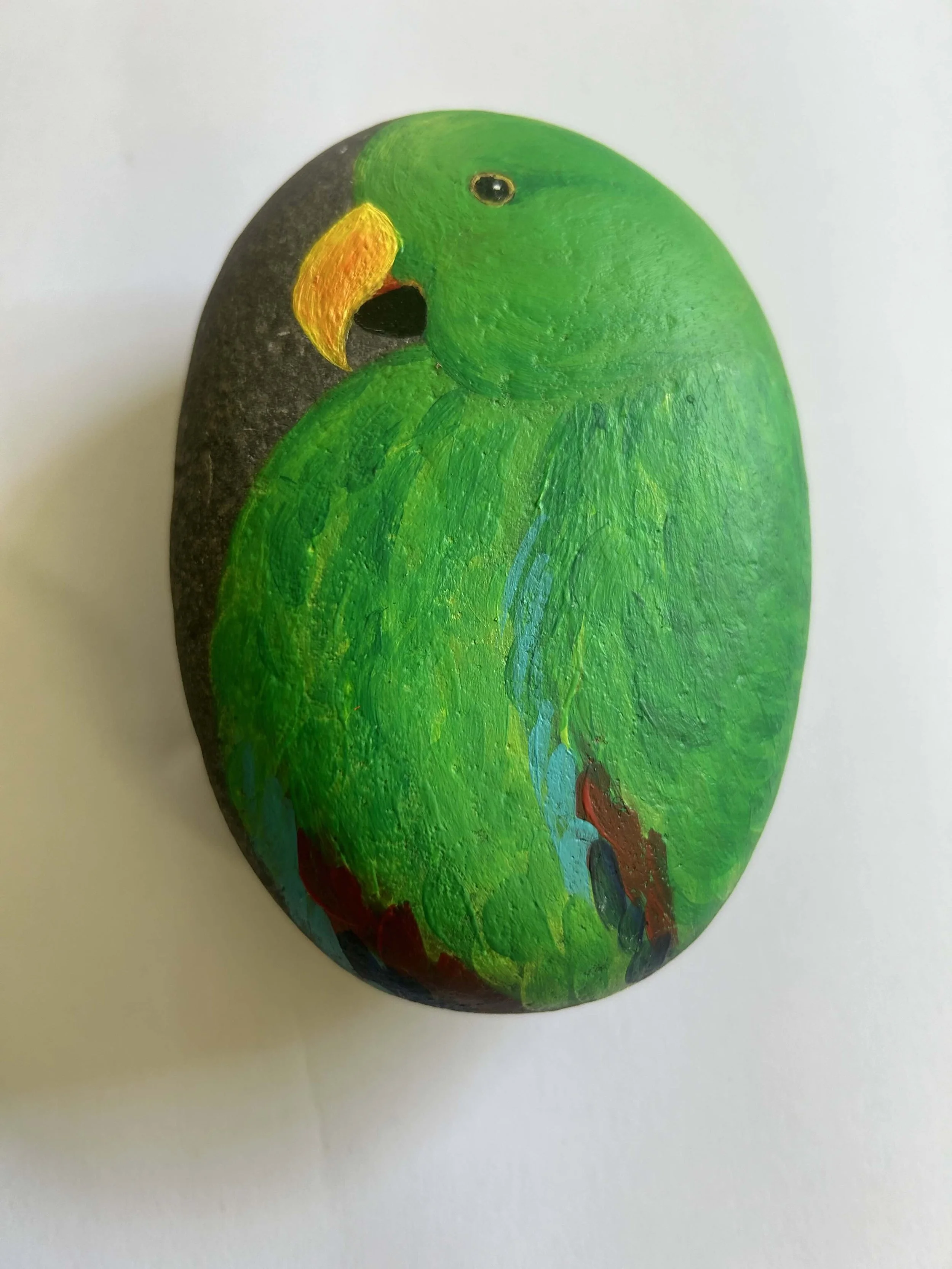 A special hand painted river rock from the Isle of Man presented to Steve by Glenda & Andrew Walker (recent passengers).