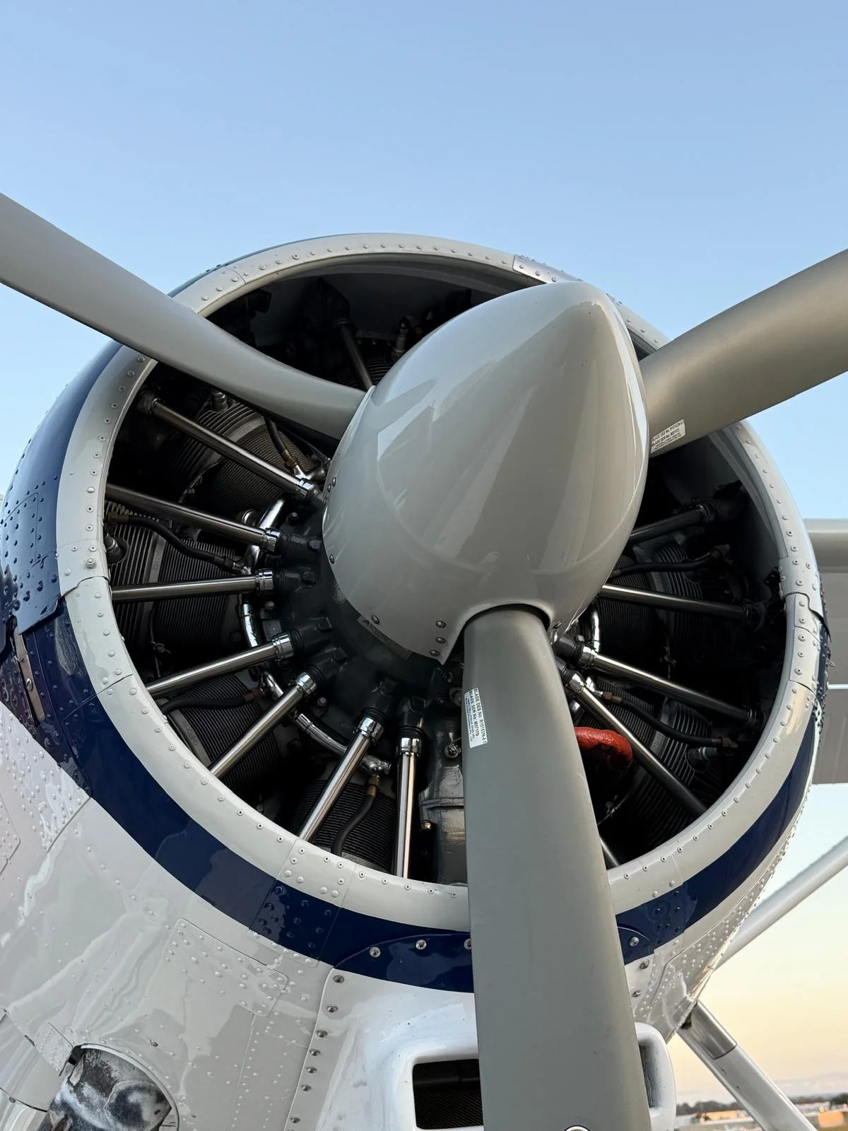 PHOTO-2025-07-14-12-09-17 3.jpg