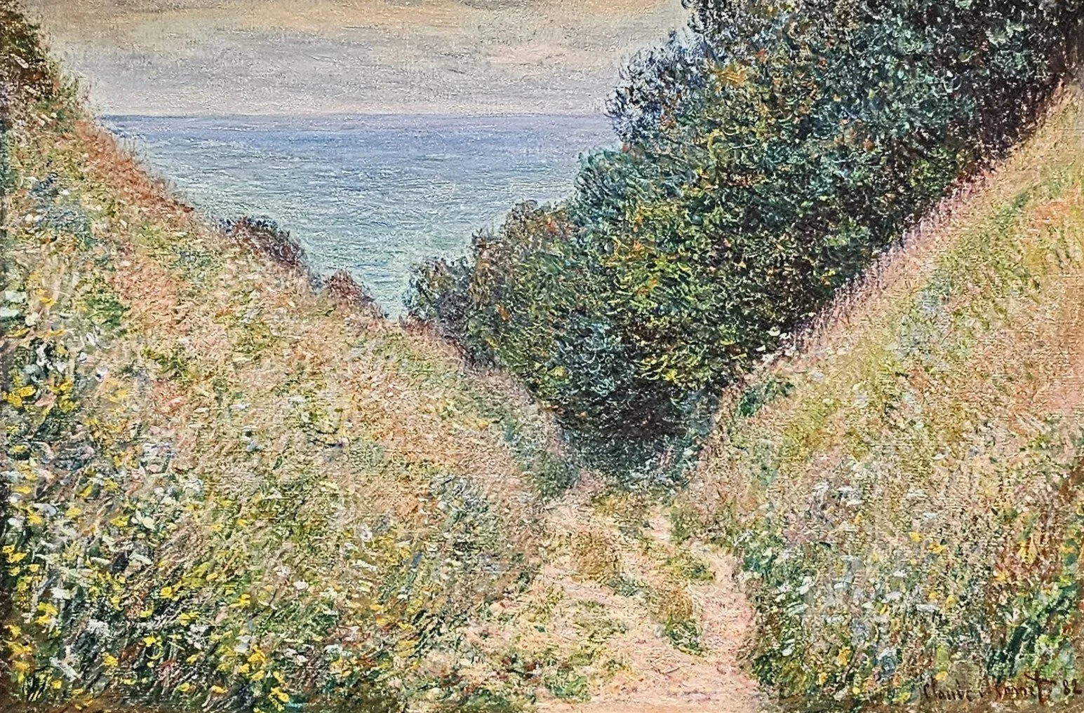 Sandy path through coastal dunes leading to the sea beneath a pale sky