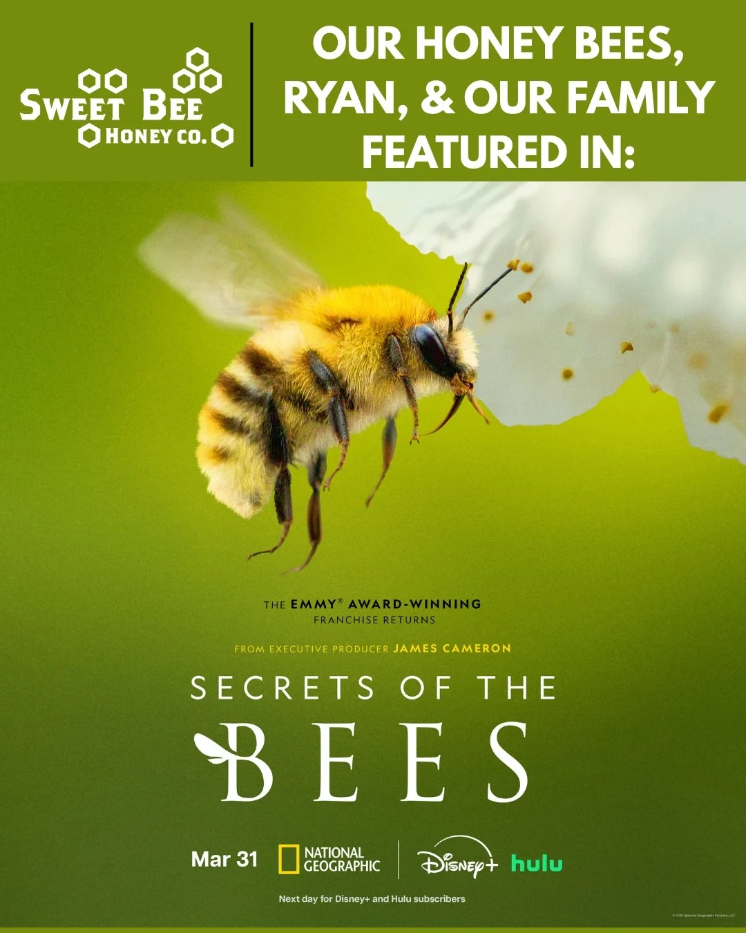 Secrets of bees FB feed.jpg