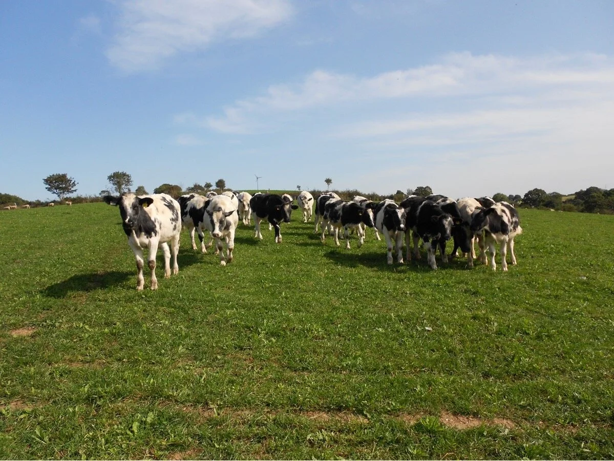 032C3AD307194185BE52224D64694F88 2.JPG