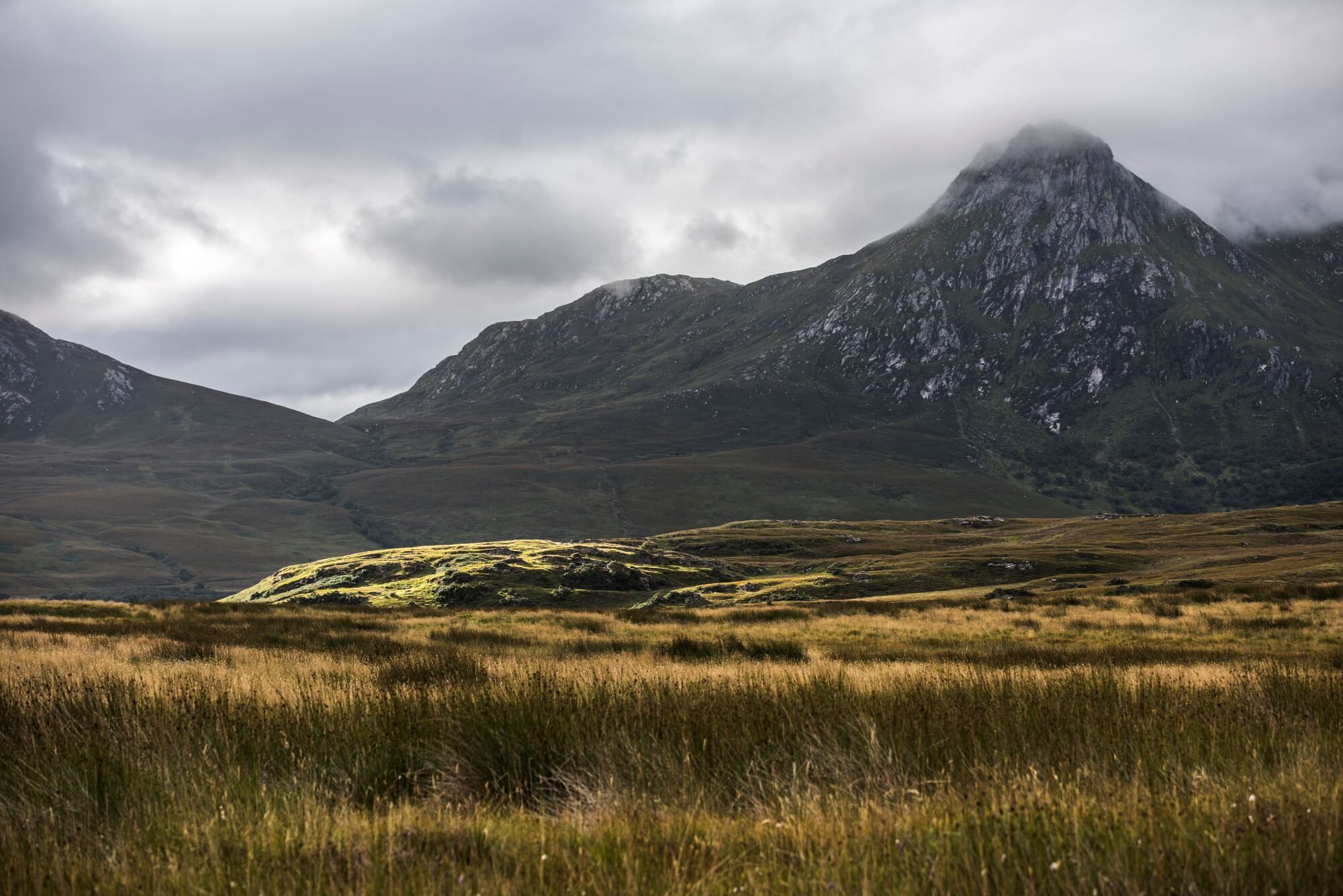 Kinloch-Scotland-Wildland-photo-Martin-KaufmannDSC_9474.jpg