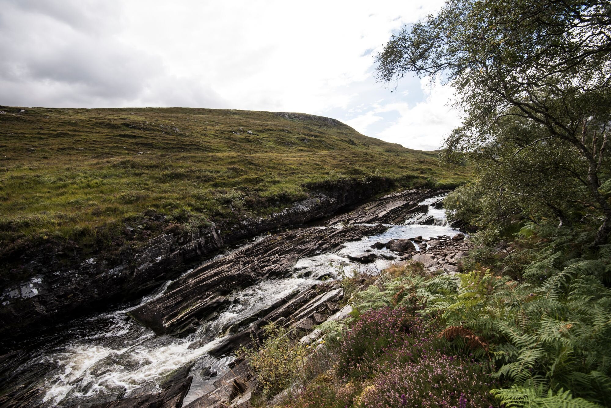 Kinloch-Scotland-Wildland-photo-Martin-KaufmannDSC_9859.jpg