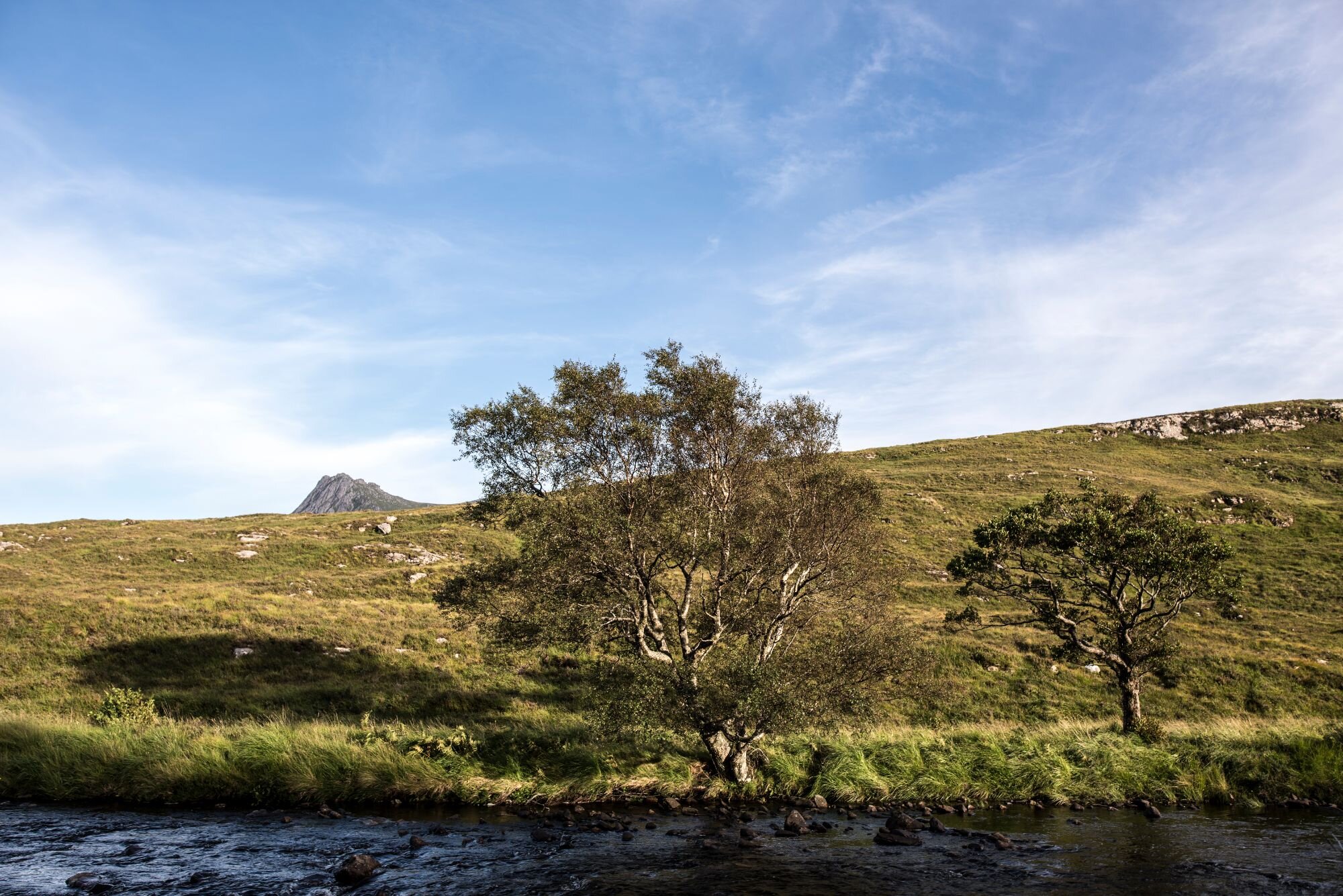 Kinloch-Scotland-Wildland-photo-Martin-KaufmannDSC_8226.jpg