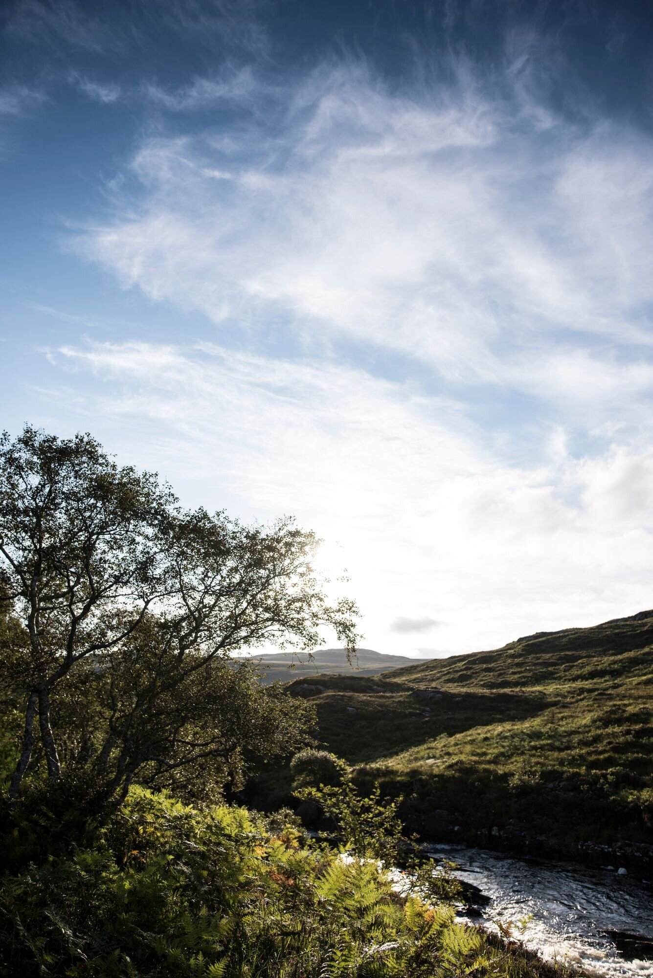 Kinloch-Scotland-Wildland-photo-Martin-KaufmannDSC_7108.jpg