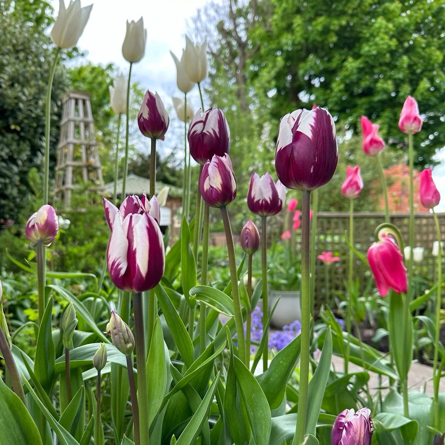 Our homes are our havens&hellip;a wee reminisce of our home projects undertaken throughout 2025, to make our spaces a little brighter and happier to be in. Looking forward to assisting my clients in 2026! Health and Happiness. 🏠&hearts;️X