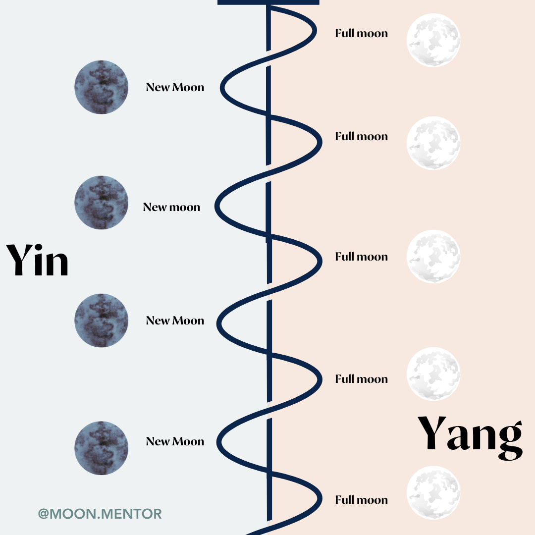 Balancing the energy of your cycle and the Moon Cycle Lauren Jane