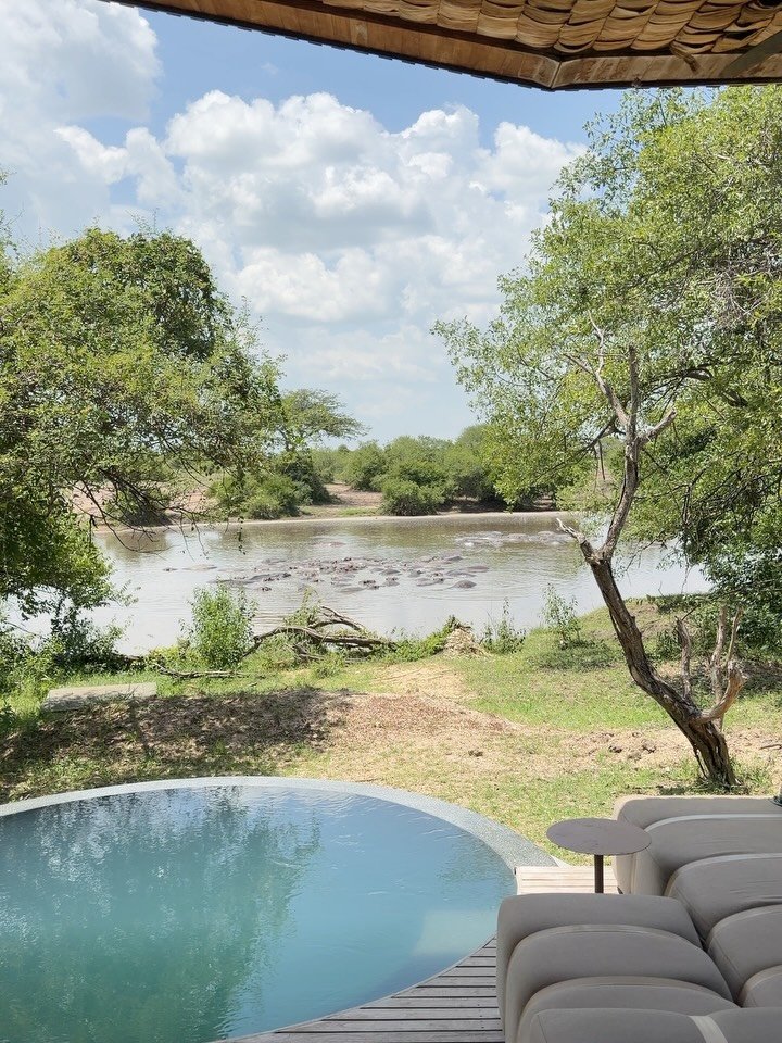 andBeyond Grumeti Serengeti River Lodge 🦛

Our final safari stop, and what an unforgettable way to end our Africa safari experience.

If there&rsquo;s one word to describe @andbeyondgrumeti , it&rsquo;s WILD. Set within the private Grumeti Reserve i
