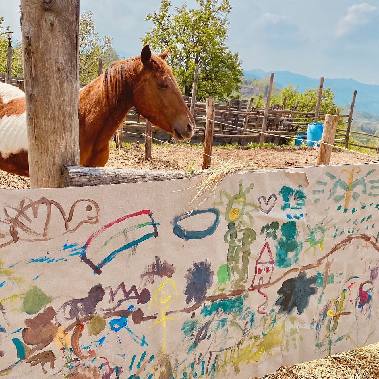 Brutta storia quella del cavallo da fattoria didattica e io che pensavo di essere nato nello Yellowstone 😂 #paint #horse