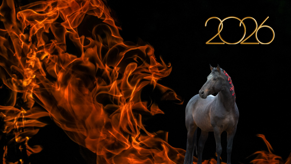 Tagesenergien Bazi Gesundheitskalender für 2026.png