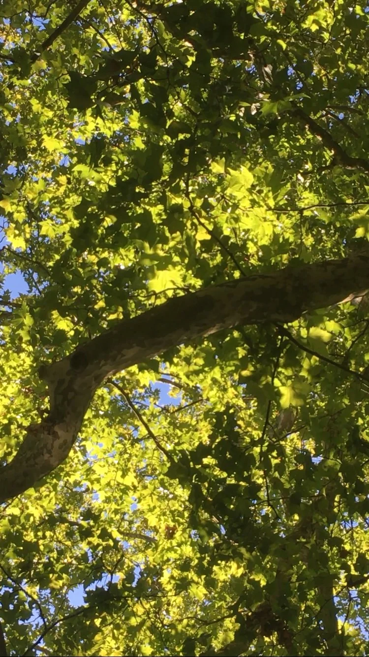 2025-08-08-1.jpg