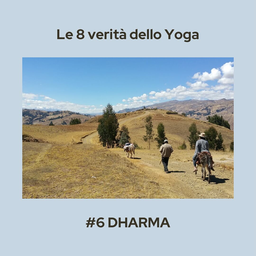 Il bello di vivere un cammino spirituale &egrave; la sensazione di essere sempre nel posto giusto al momento giusto. Non esiste la sfiga, che ce l&rsquo;ha con te e ti impedisce. Esiste l&rsquo;osservazione, lo studio e l&rsquo;arrendersi al fatto ch