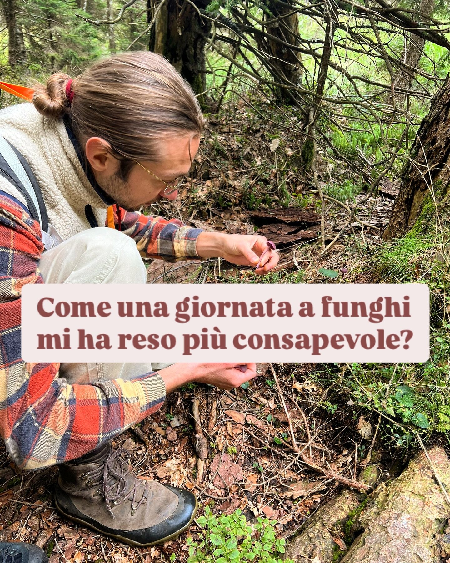 Nel weekend ho avuto il piacere di andare a funghi con un gruppo di appassionati di micologia. Durante la camminata, abbiamo incontrato diverse persone, anche loro alla ricerca di porcini, avevano i cestini vuoti e dicevano che nel bosco non c&rsquo;
