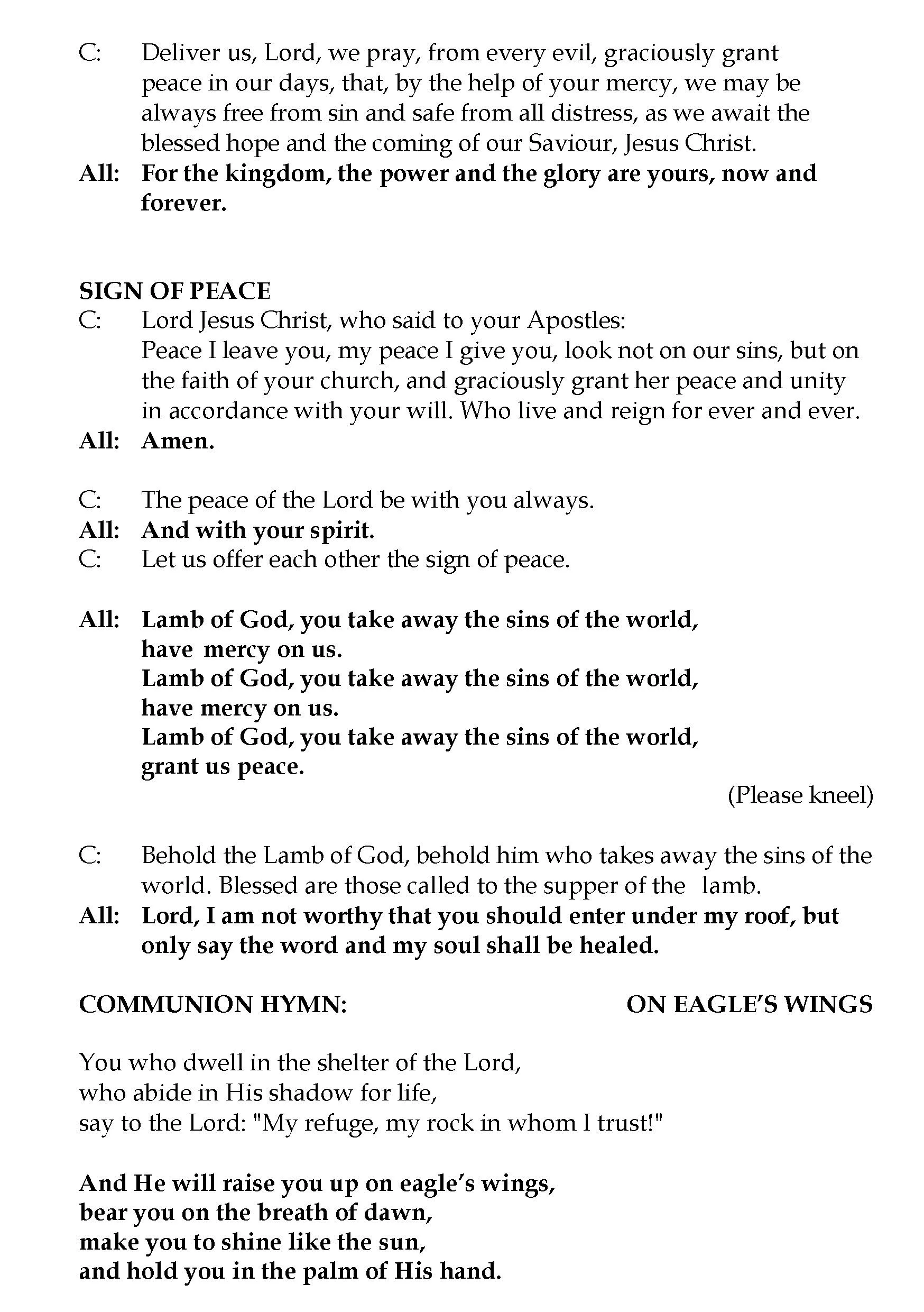 Michael Luppino Mass booklet proof_Page_11.jpg