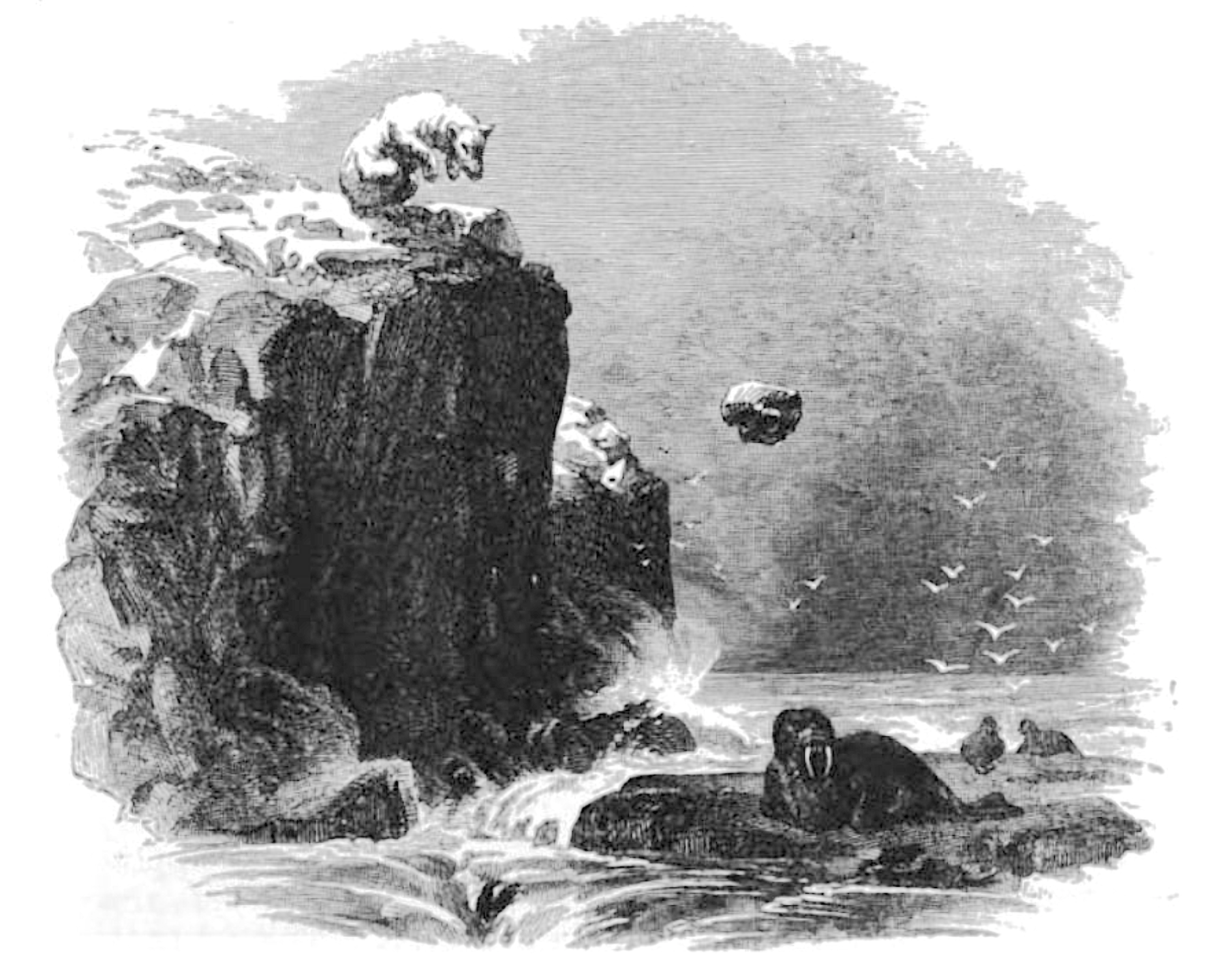 1860-62 | The Arctic