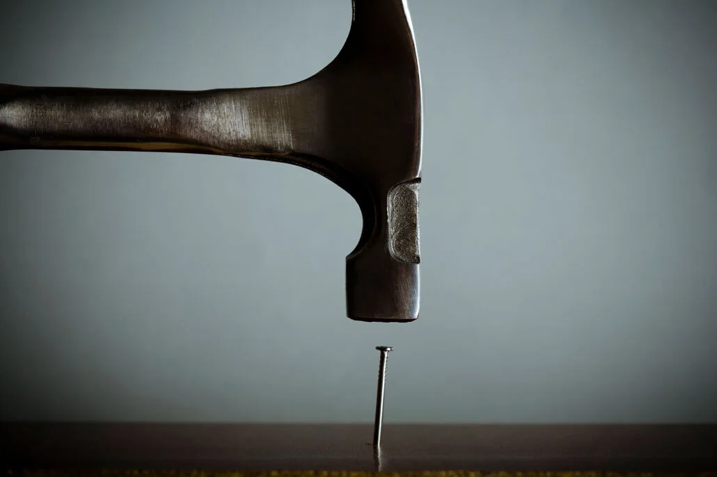 Why do animals use tools?