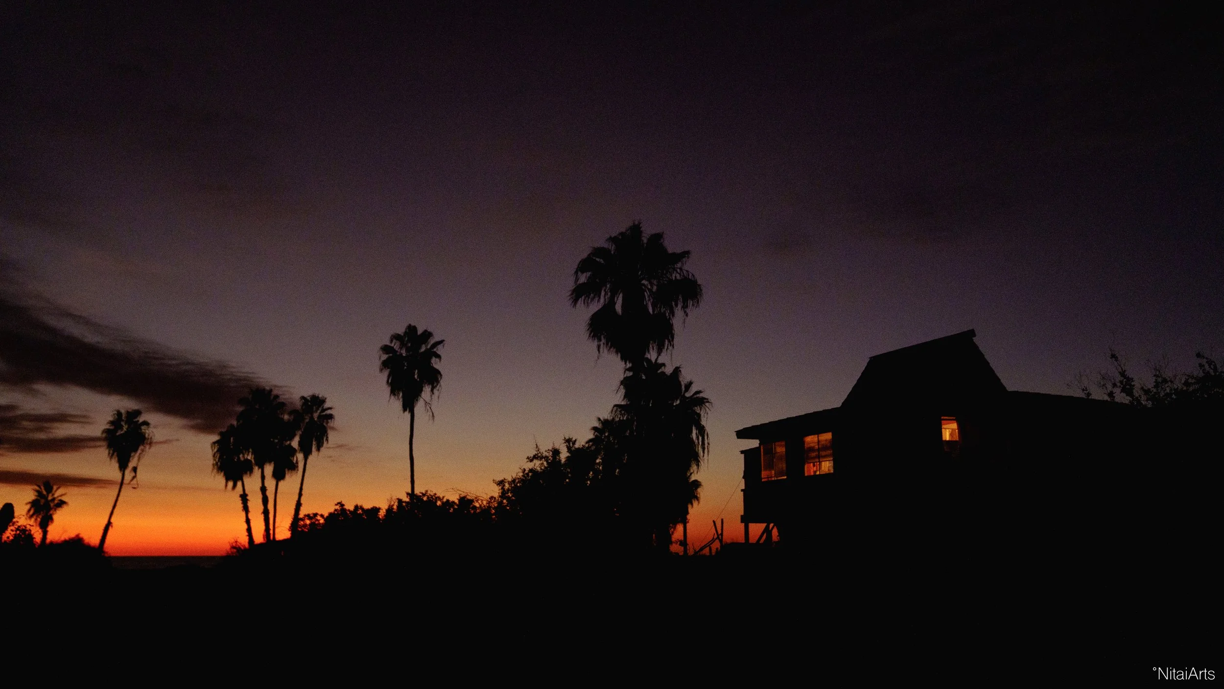 DSC08021.jpg