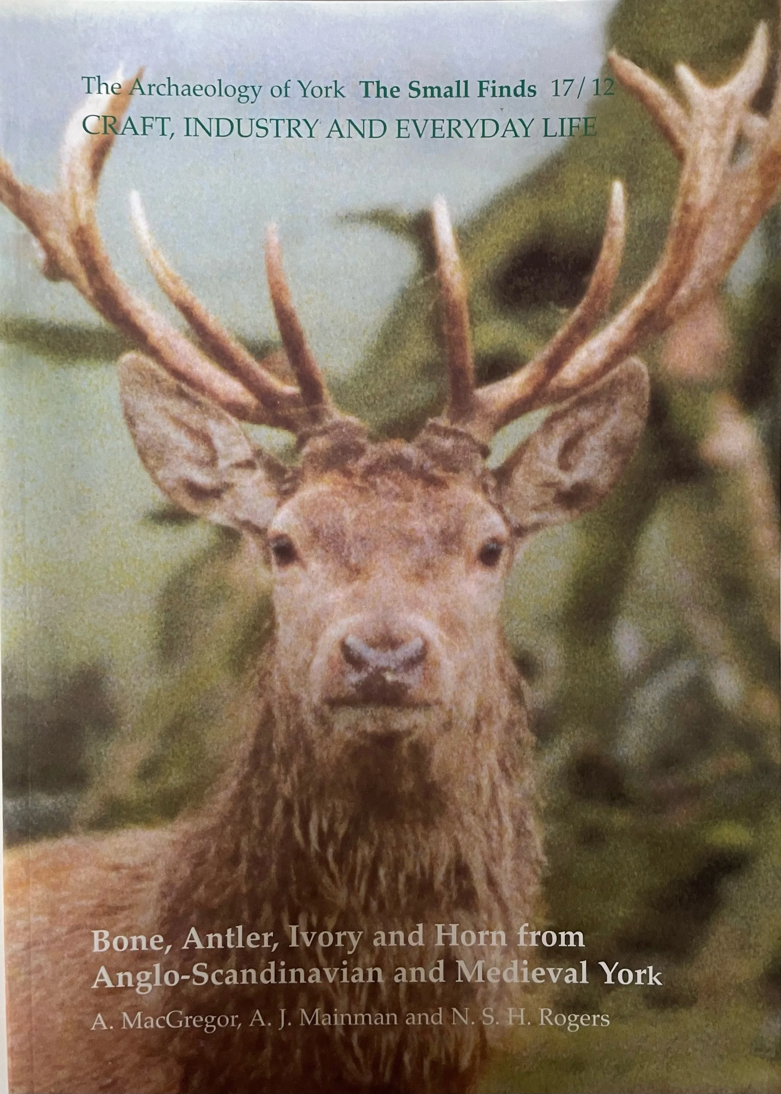 image1.jpeg