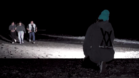 WIESEMANN 1893 GIF-downsized_large.gif