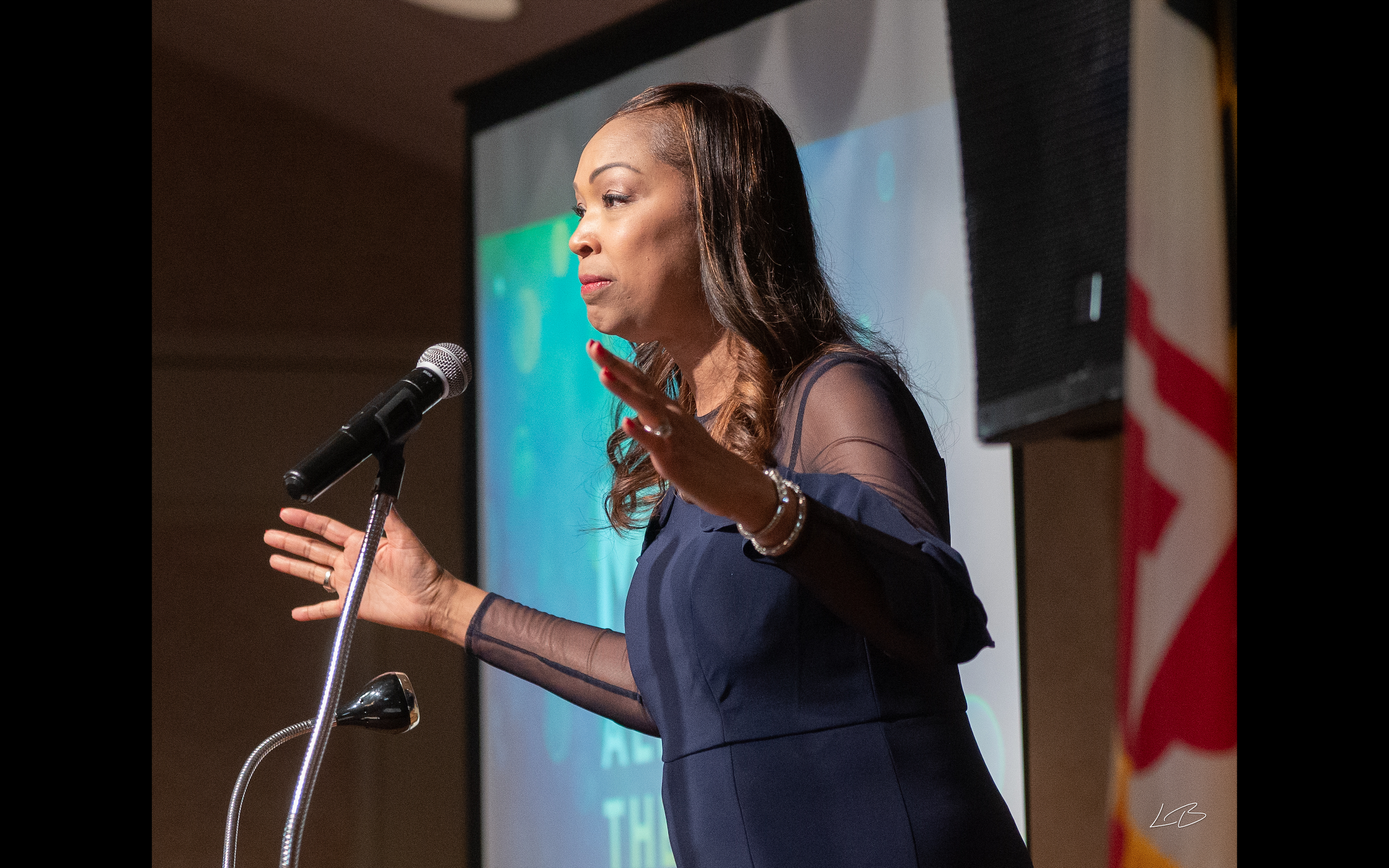 Screen Shot 2023-01-12 at 9.11.31 AM.png