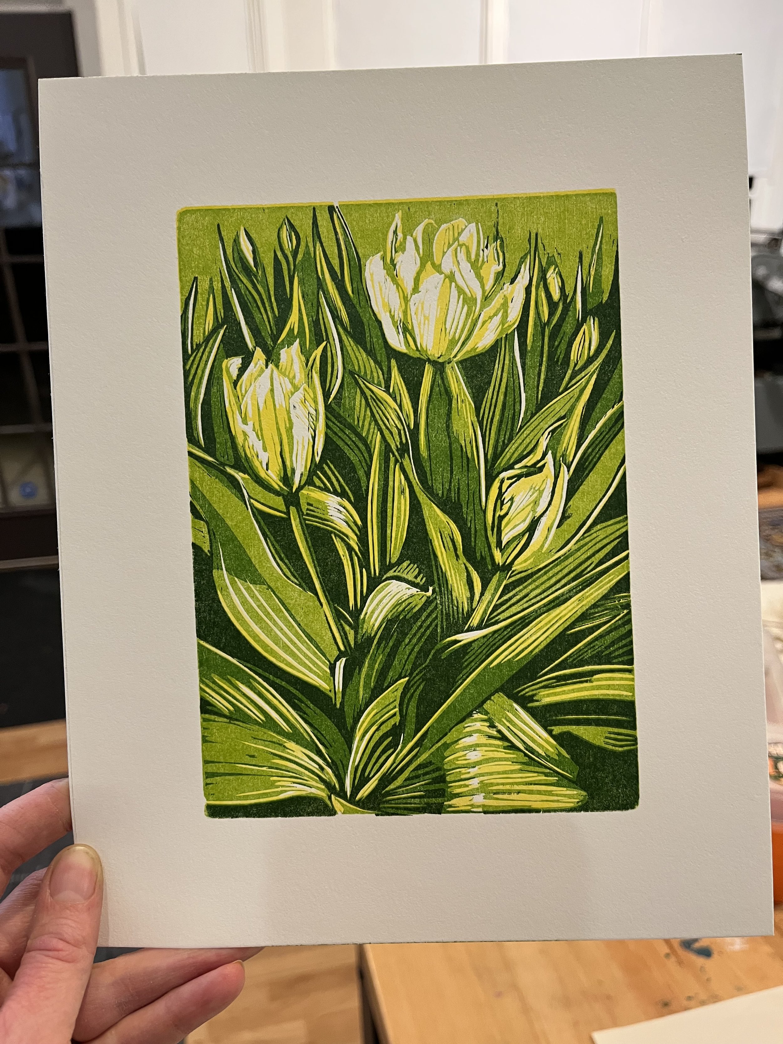 Tulip