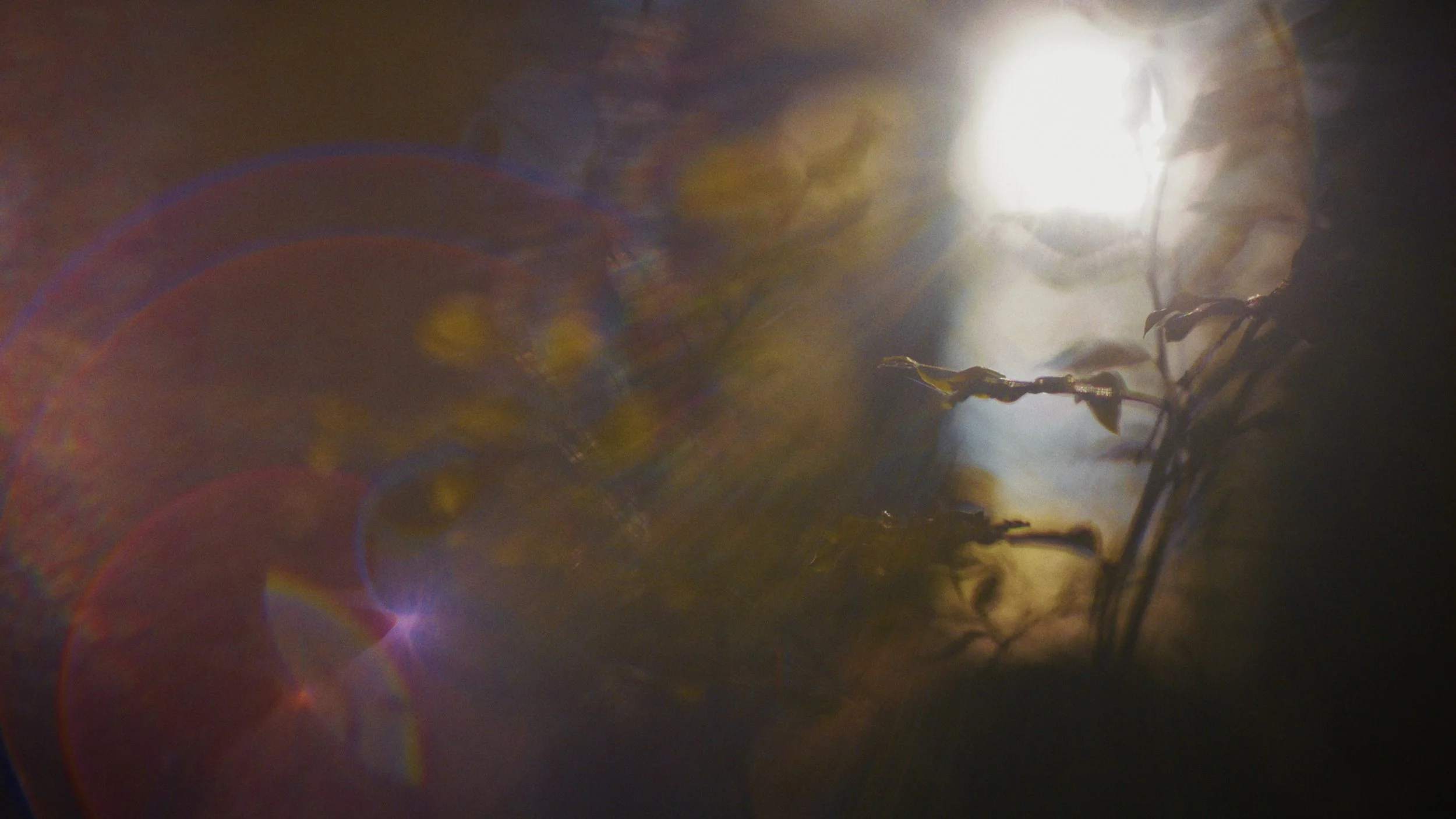 A Beautiful Resistance Frames_24.jpg