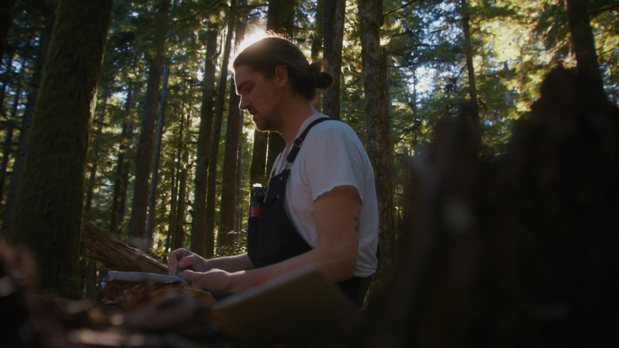 A Beautiful Resistance Frames_3.jpg