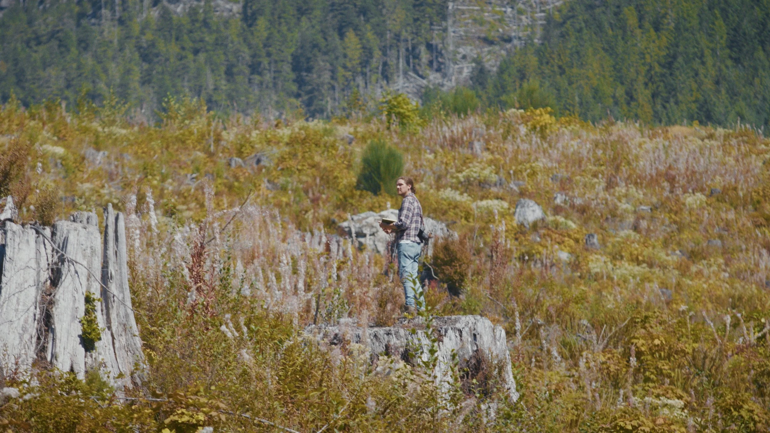 A Beautiful Resistance Frames_8.jpg