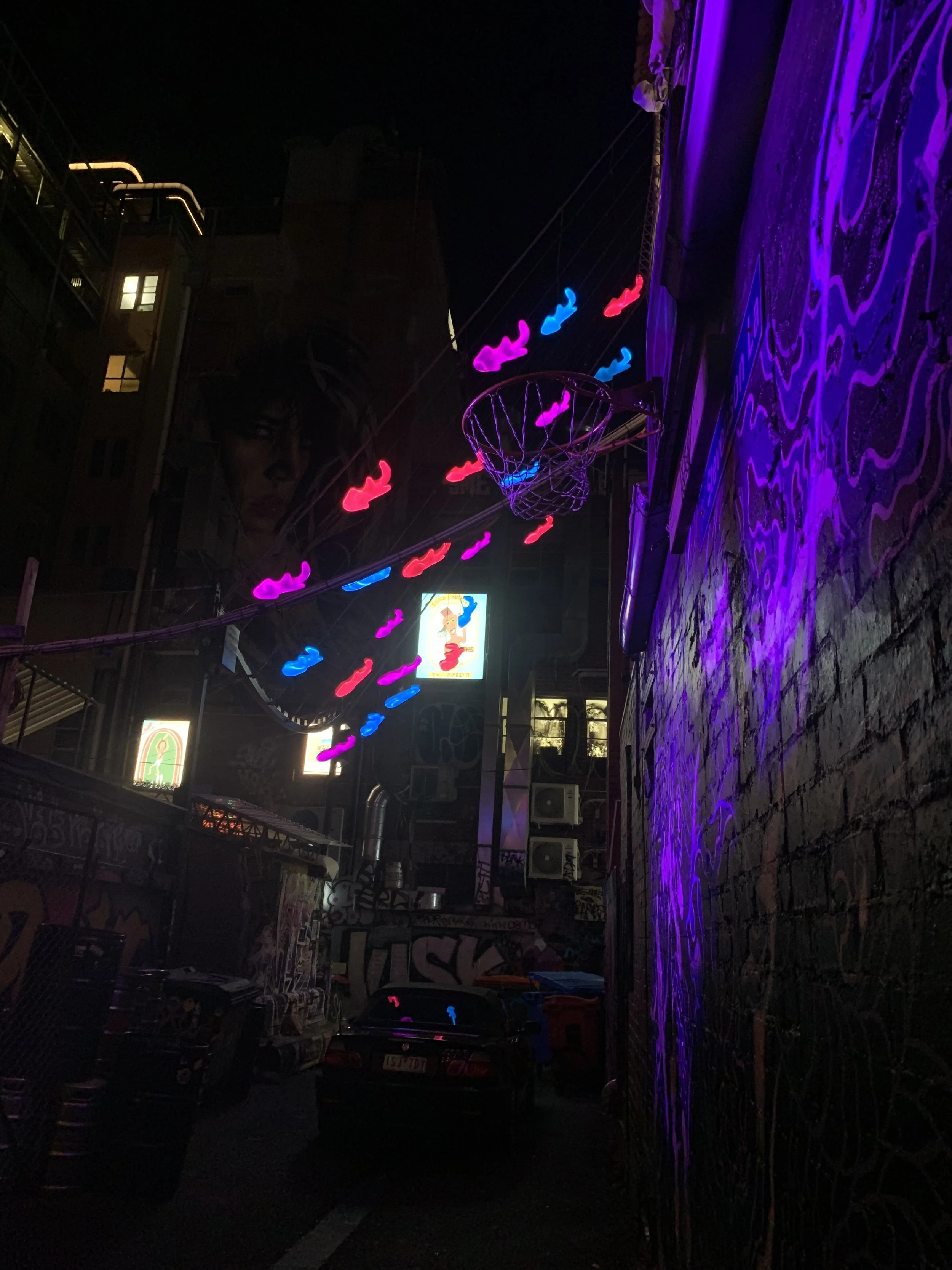 Melbourne Alley Hoop.jpg