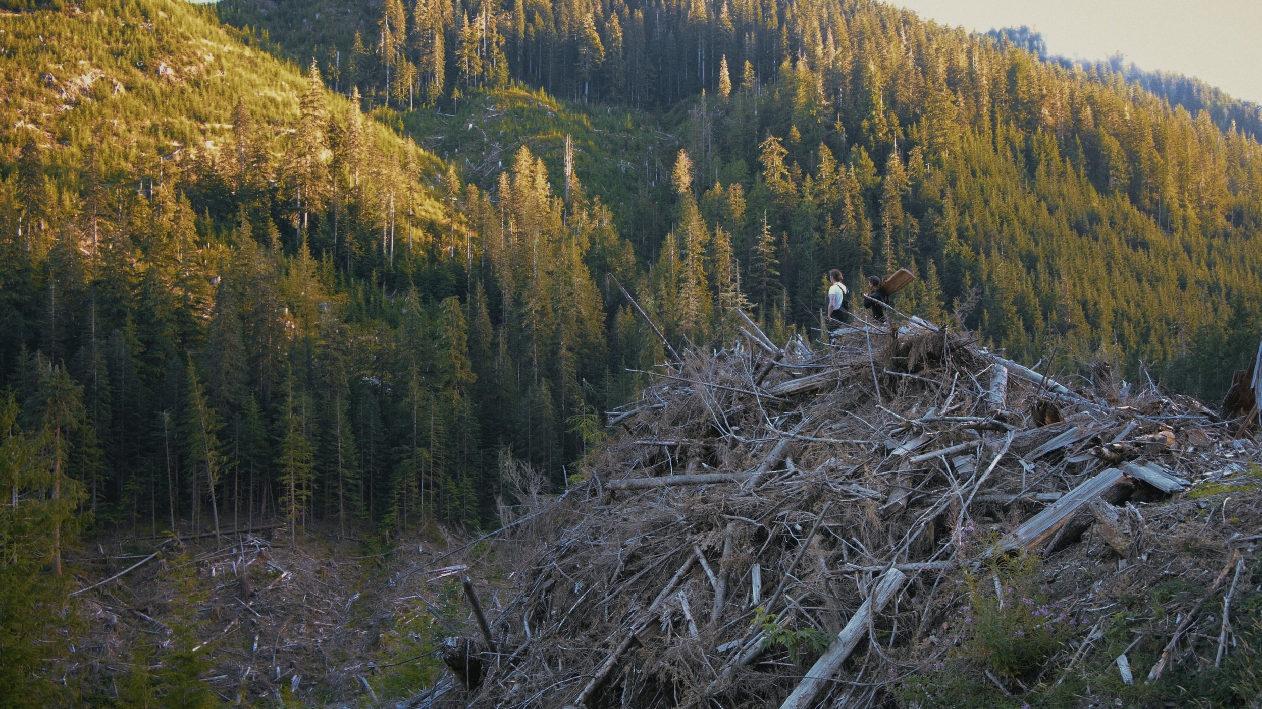 A Beautiful Resistance Frames_17.jpg