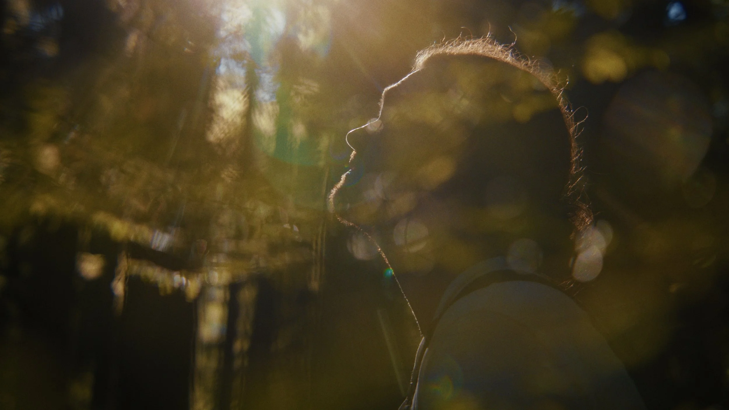 A Beautiful Resistance Frames_2.jpg