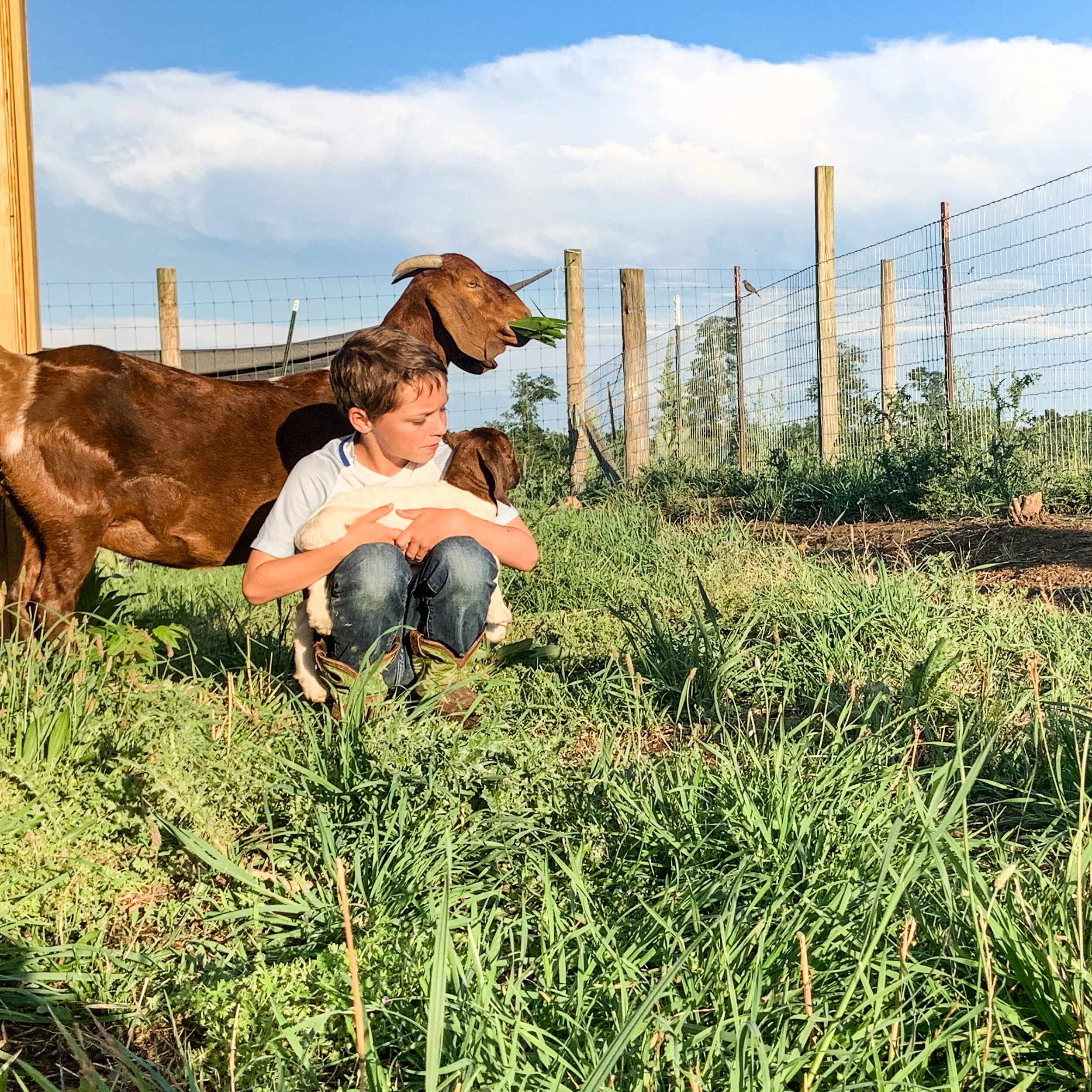 6C1296AA-EF82-47BB-AF3F-BC07AF2D77EF 2.JPEG