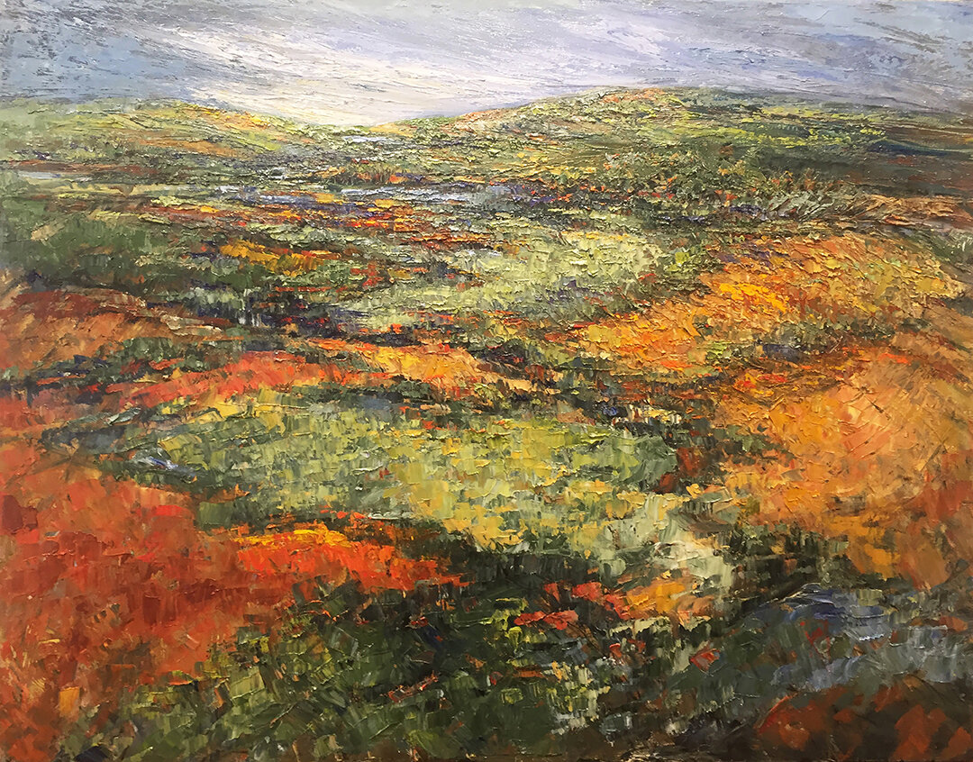   Color in the Terrain   Oil on canvas   48” x 60” 