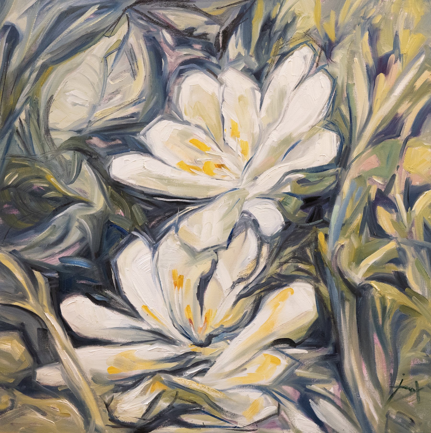   Morning Whiteness   30" x 30"   Oil on canvas  