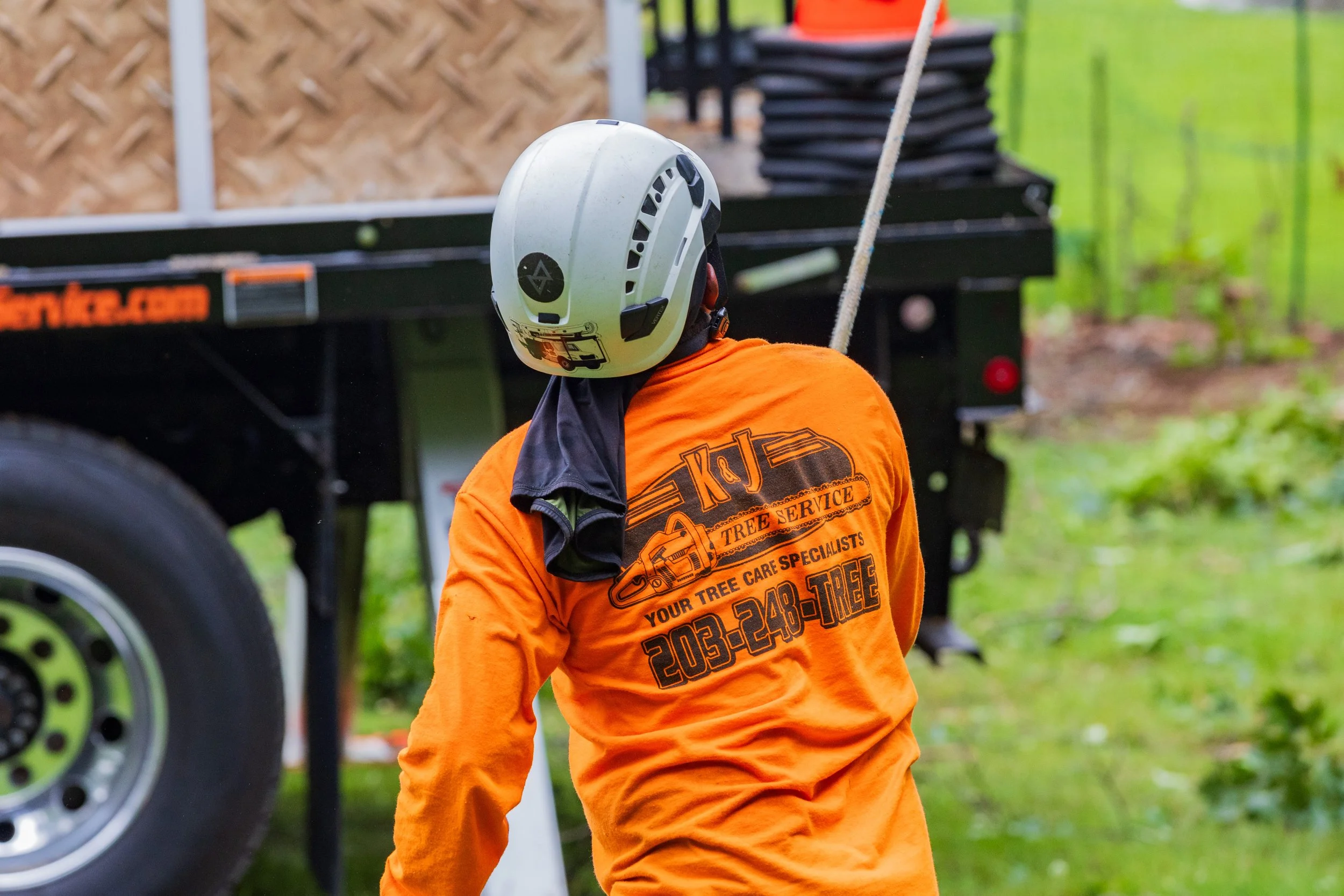 Derby, CT Tree Services 
