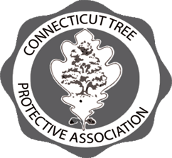 K&J Tree Service gallery 6