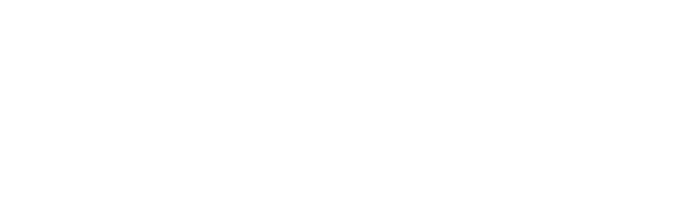 Influence Coaching