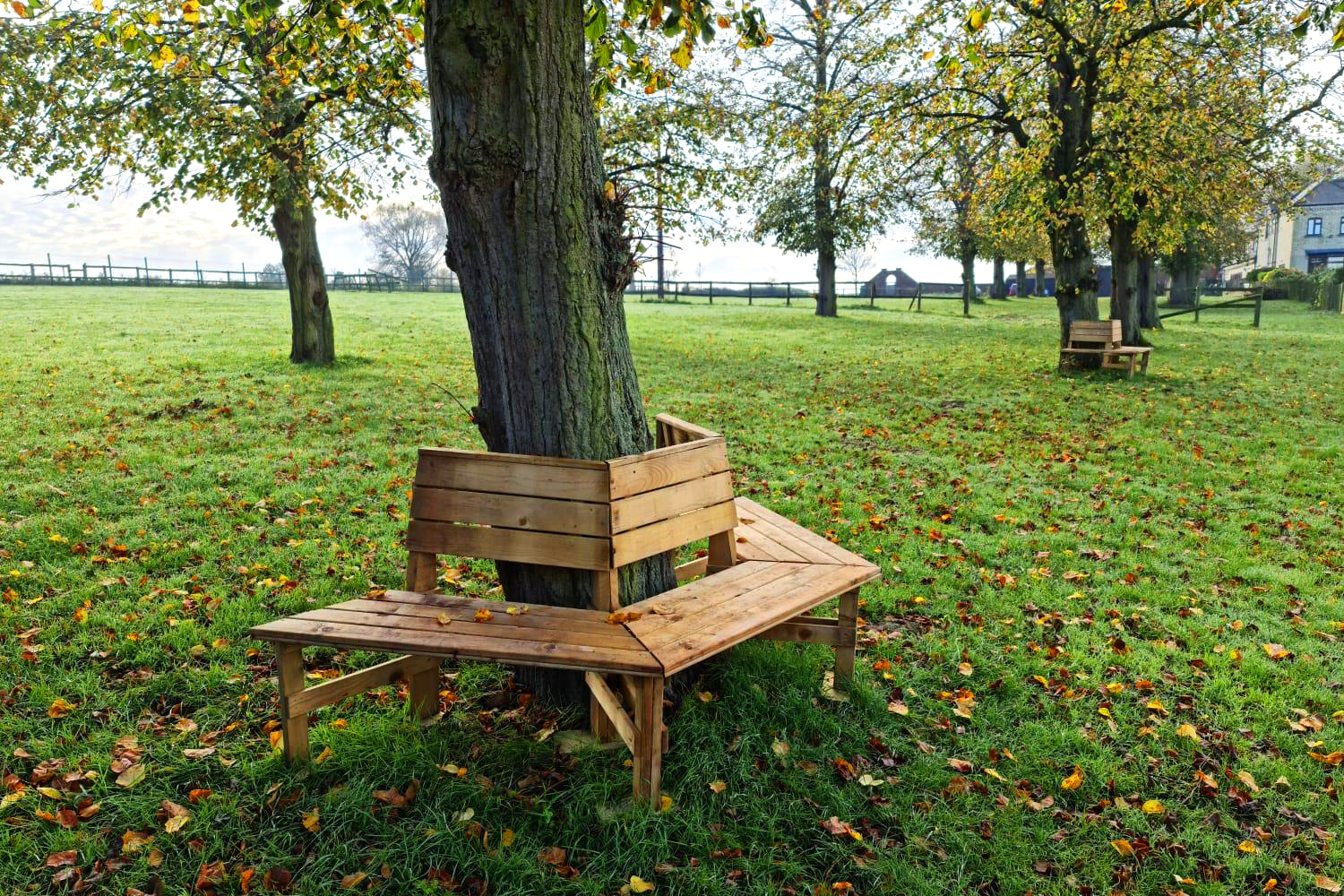 Lots of space to run around at JJs VIP DOGS