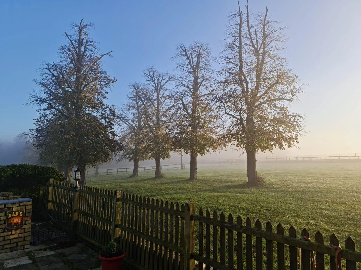 View from the House to Dog Field at JJS VIP PETS