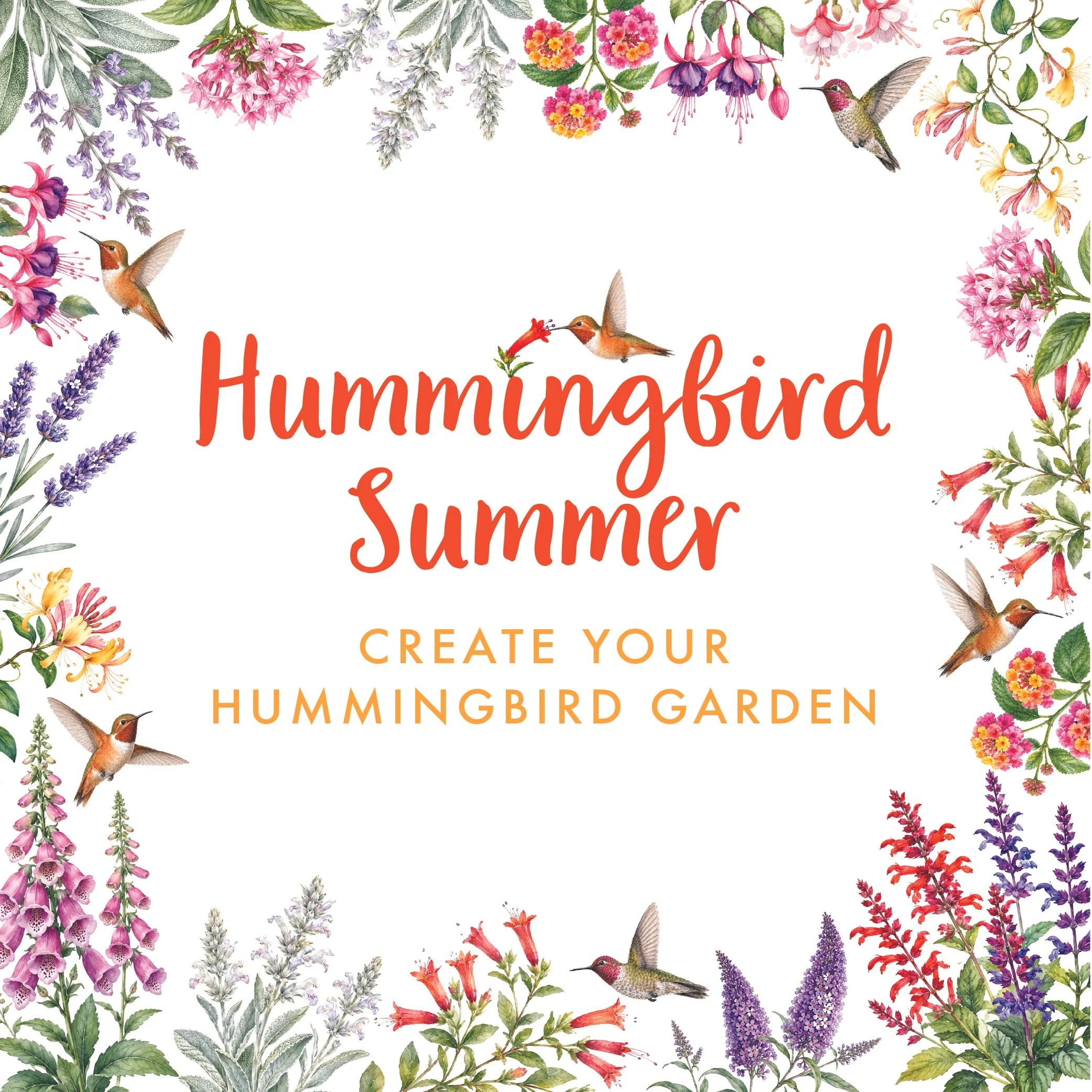 humsum square.jpg